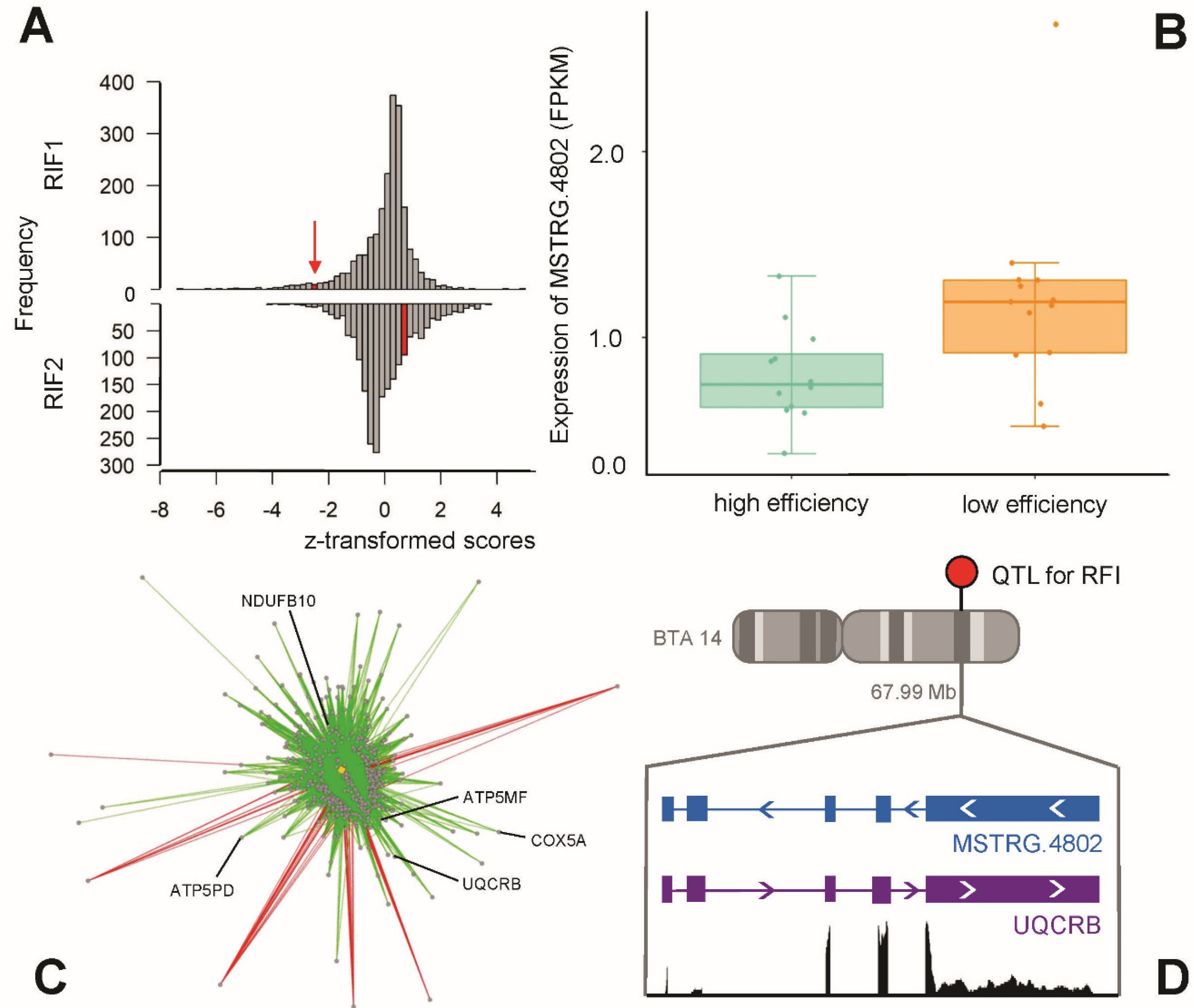 Ijms 21 03292 g005 Ijms 21 03292 g005
