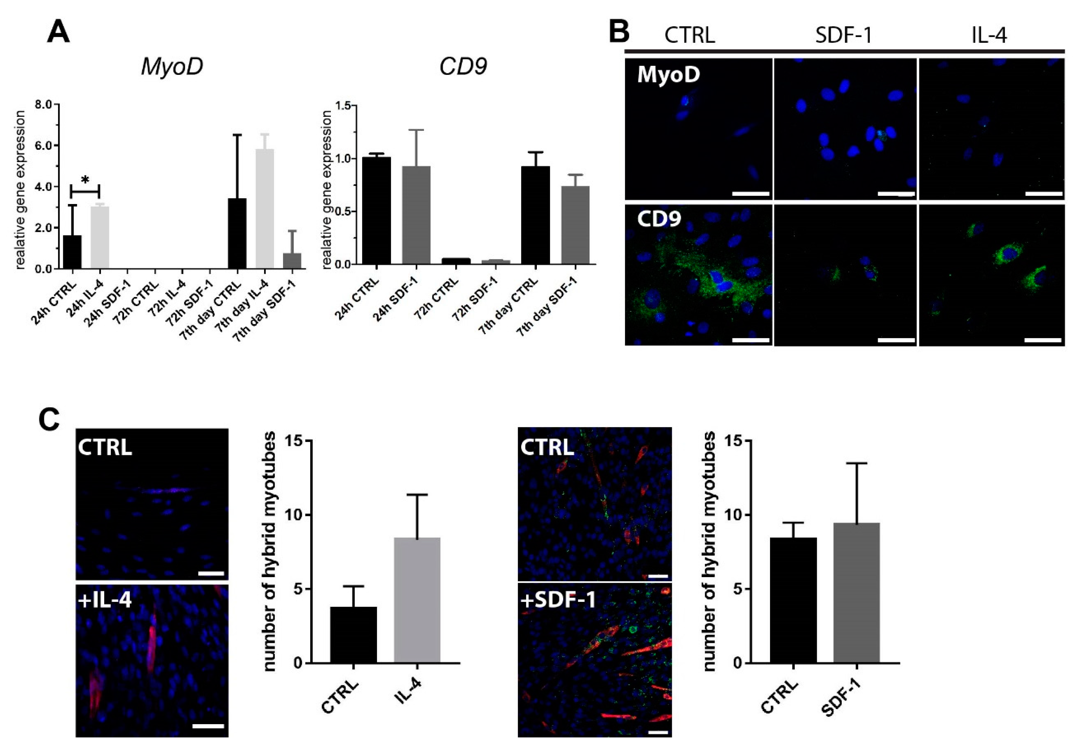 Ijms 21 03302 g002 Ijms 21 03302 g002
