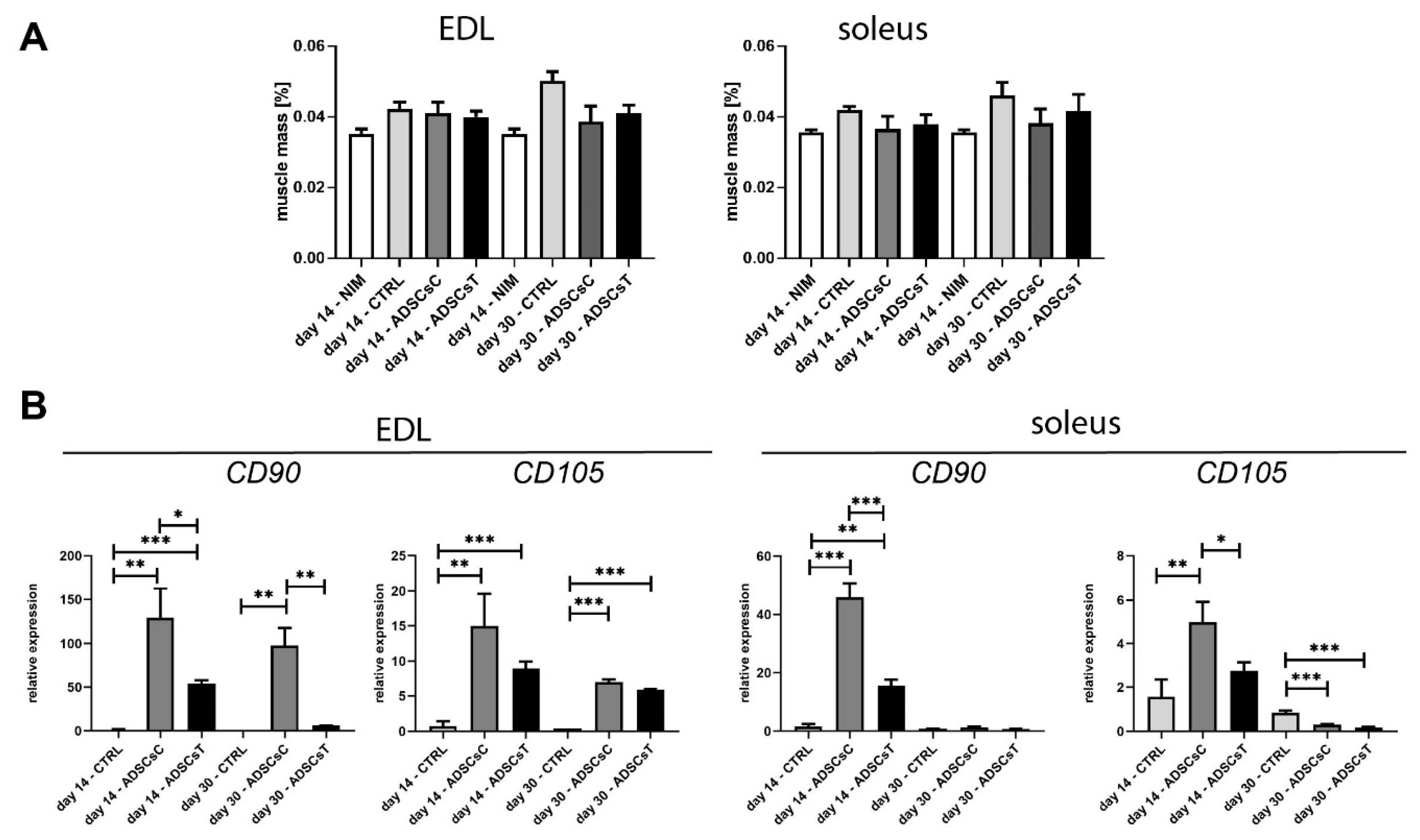 Ijms 21 03302 g003 Ijms 21 03302 g003