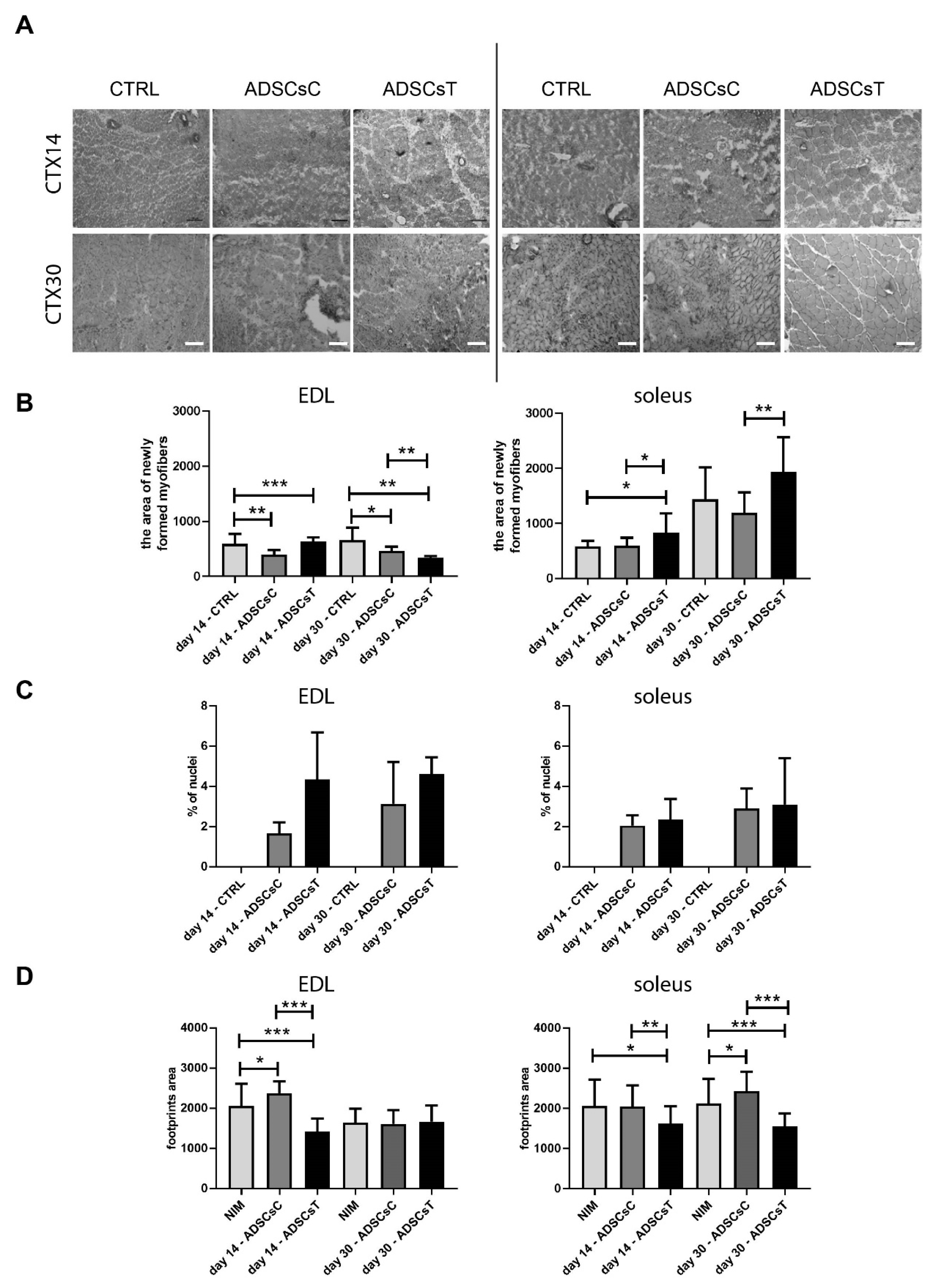 Ijms 21 03302 g004 Ijms 21 03302 g004