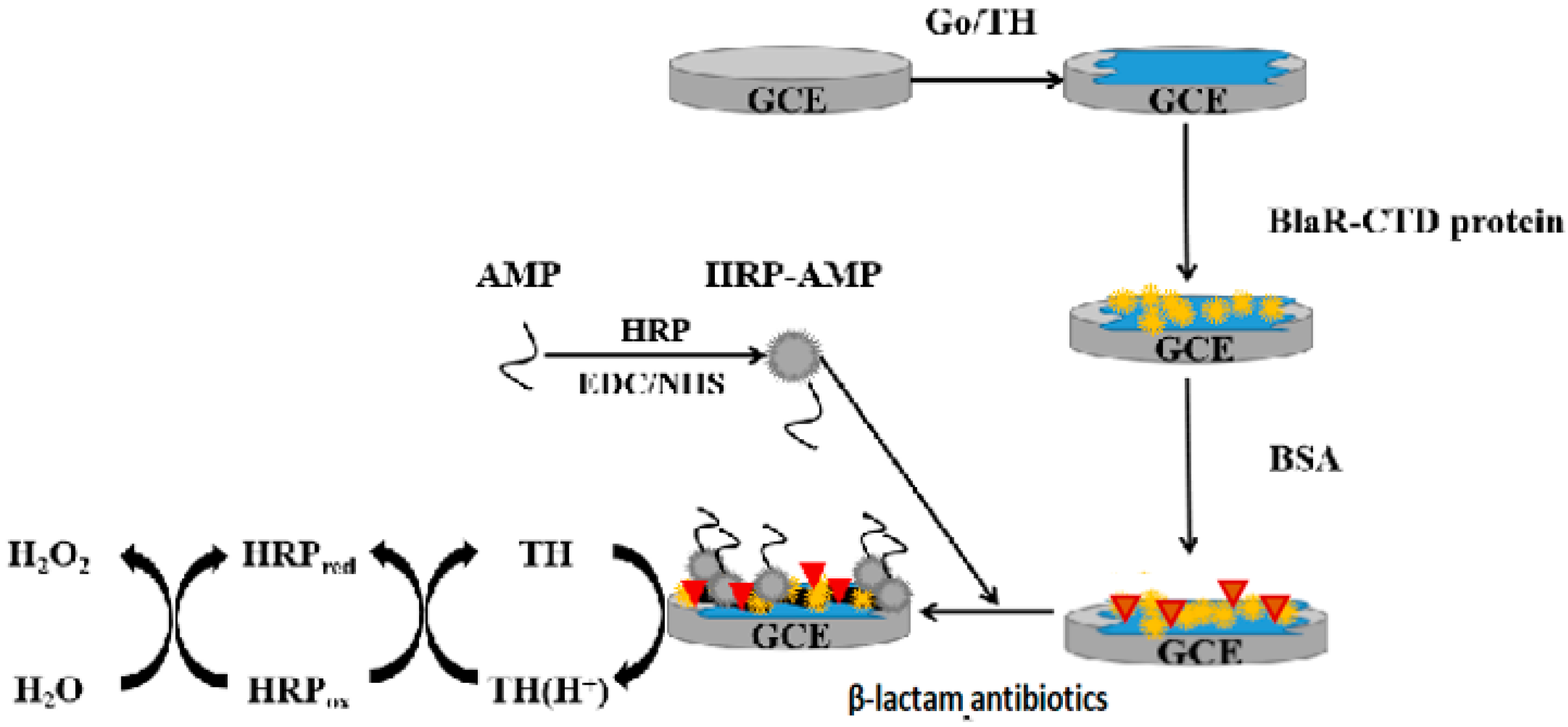 Ijms 21 03306 sch001