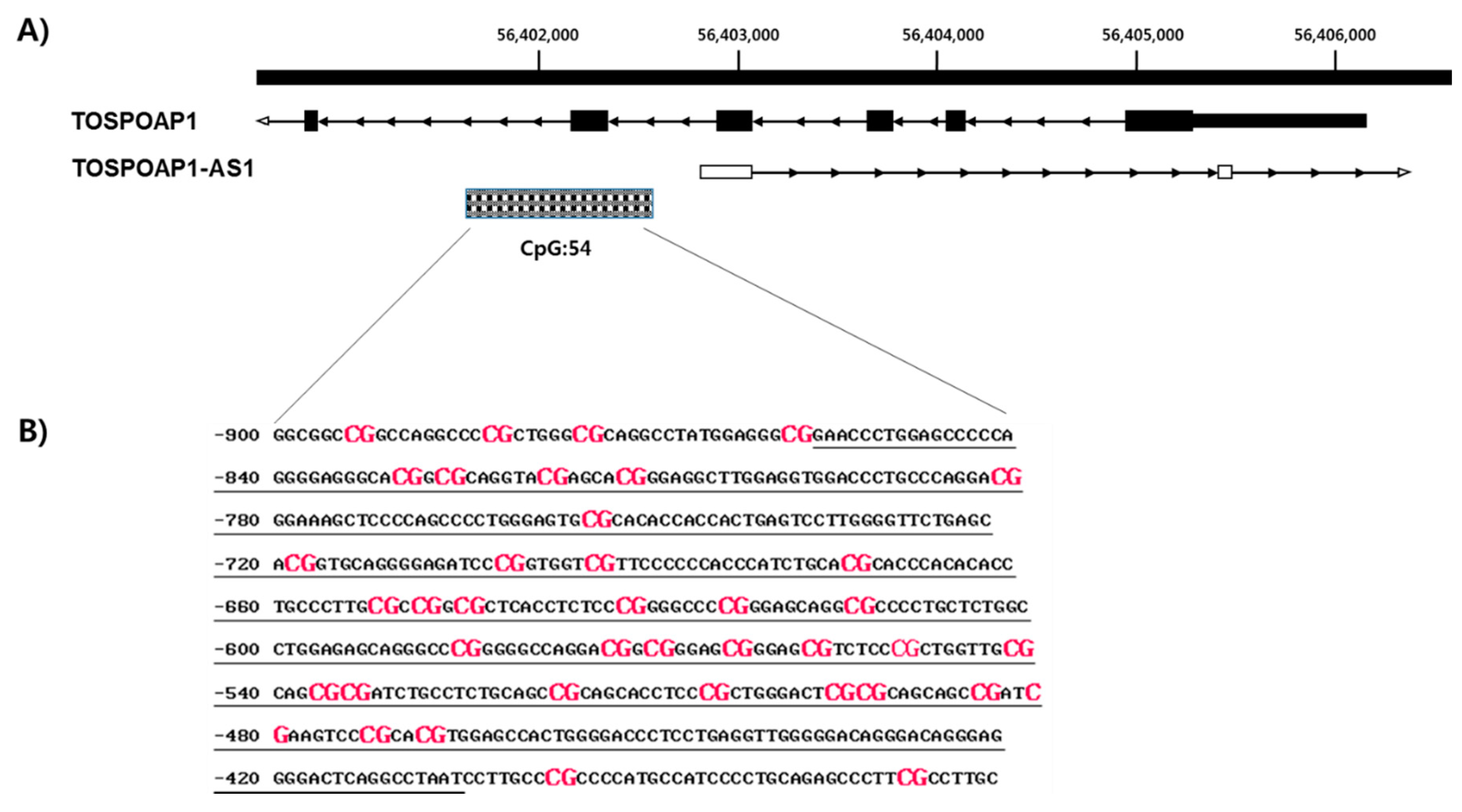 Ijms 21 03307 g001 Ijms 21 03307 g001