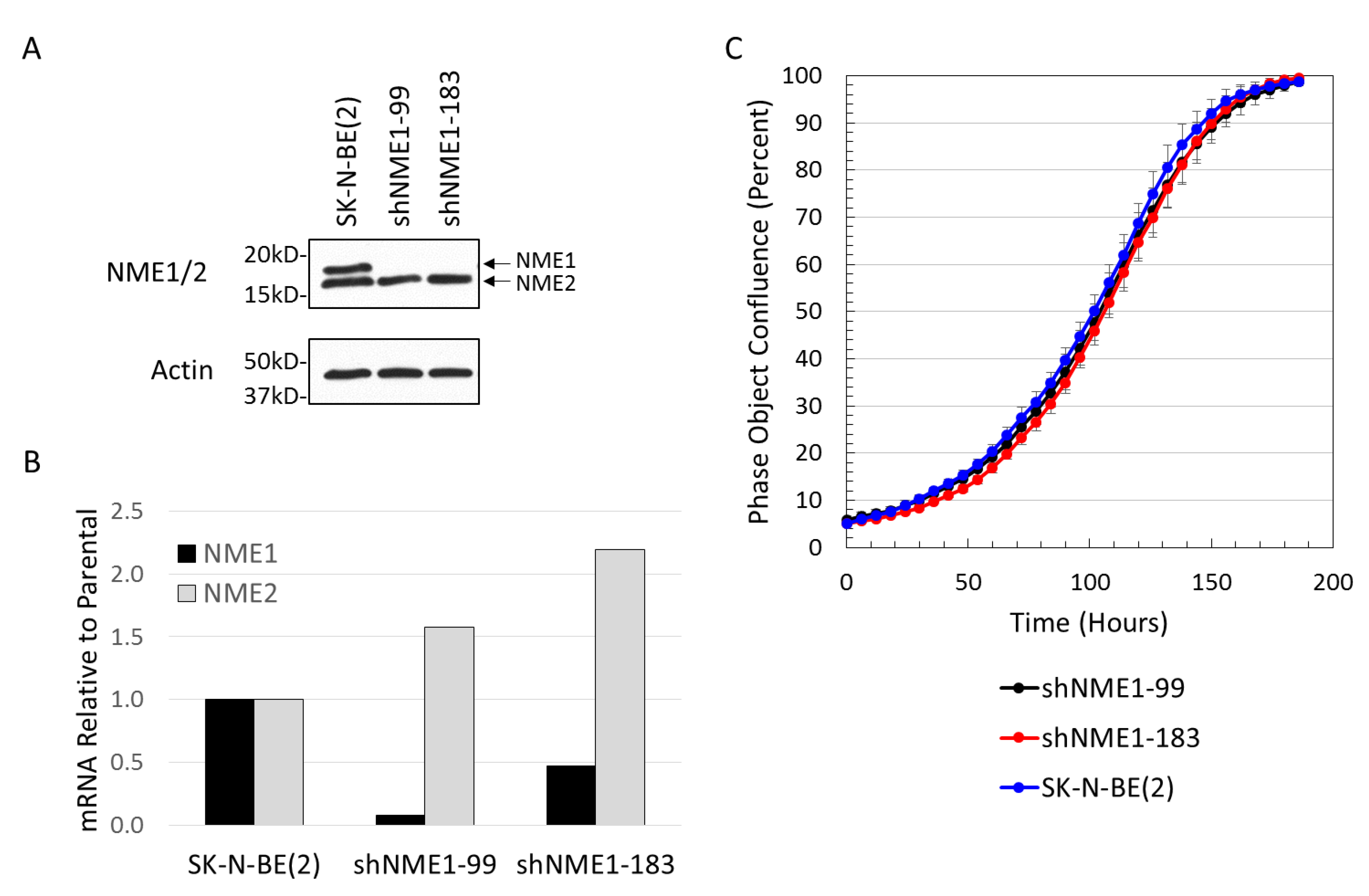 Ijms 21 03319 g004 Ijms 21 03319 g004