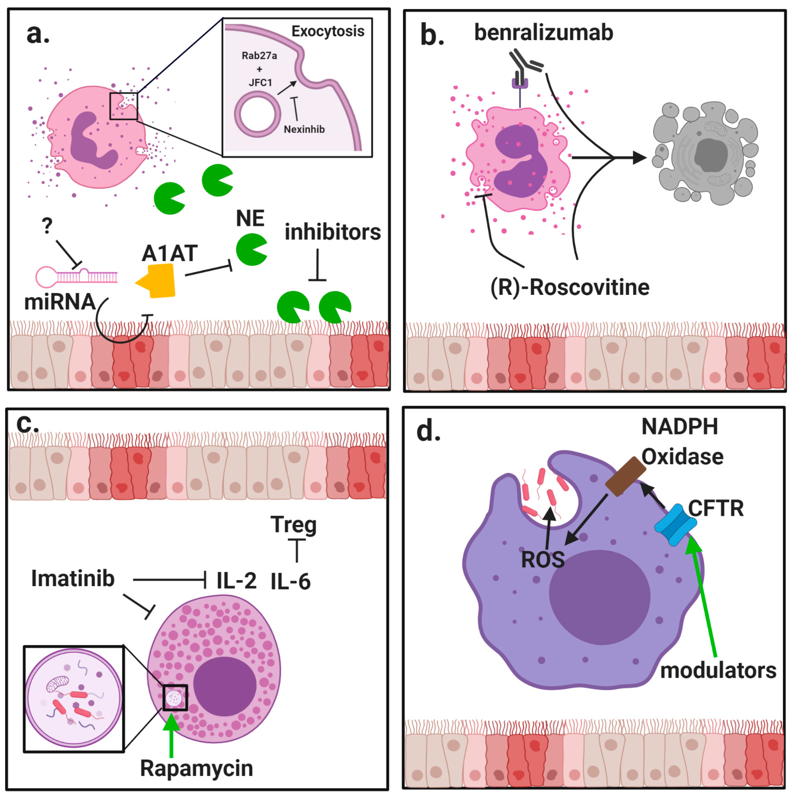 Ijms 21 03331 g001 Ijms 21 03331 g001