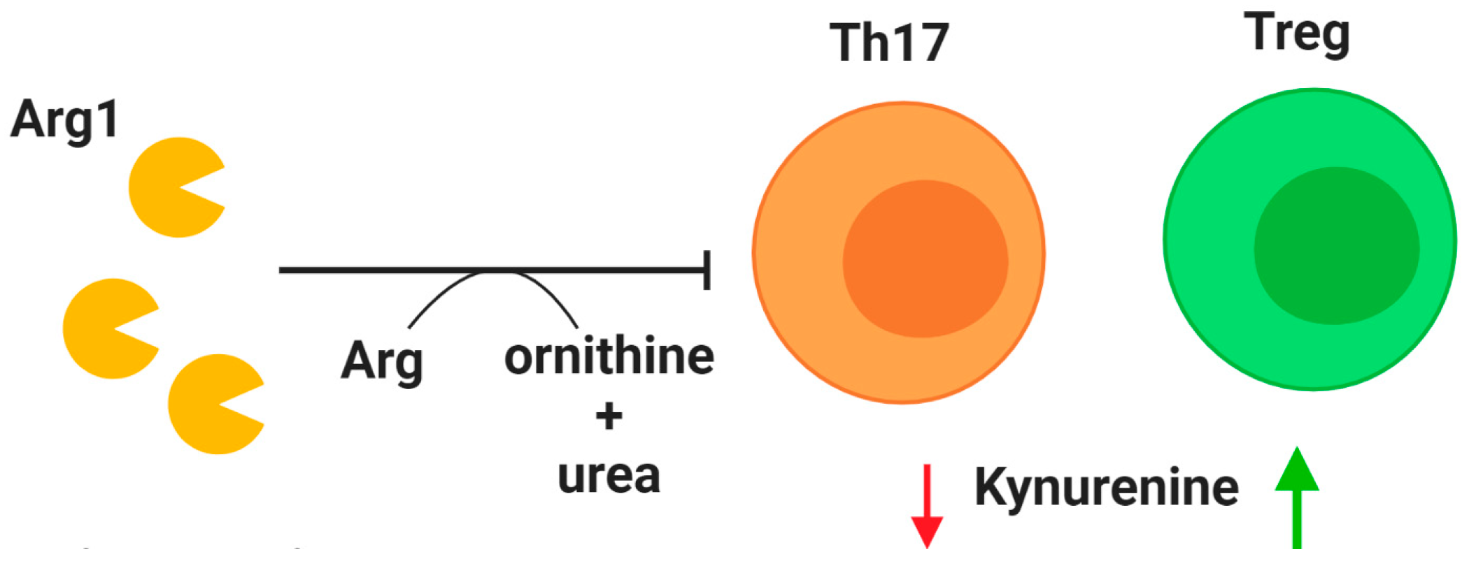 Ijms 21 03331 g002 Ijms 21 03331 g002