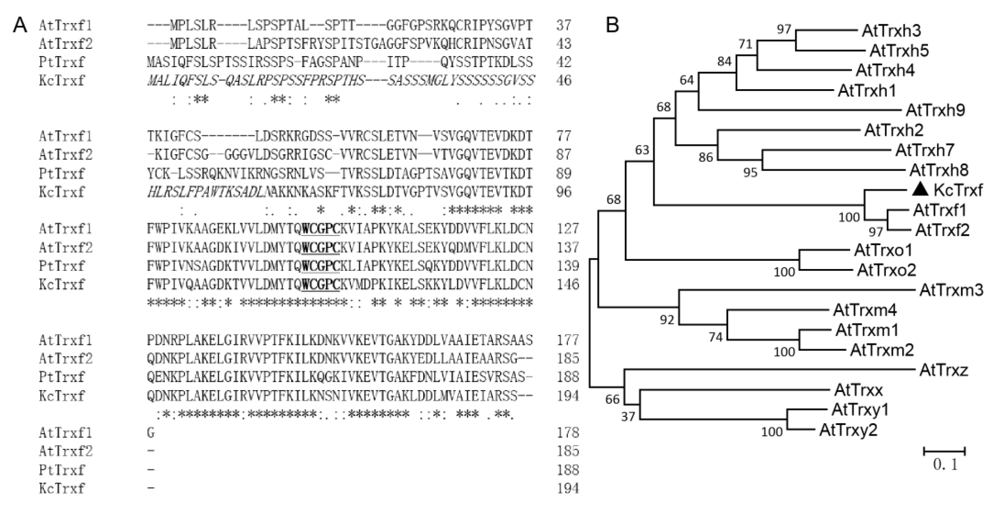 Ijms 21 03335 g002 Ijms 21 03335 g002