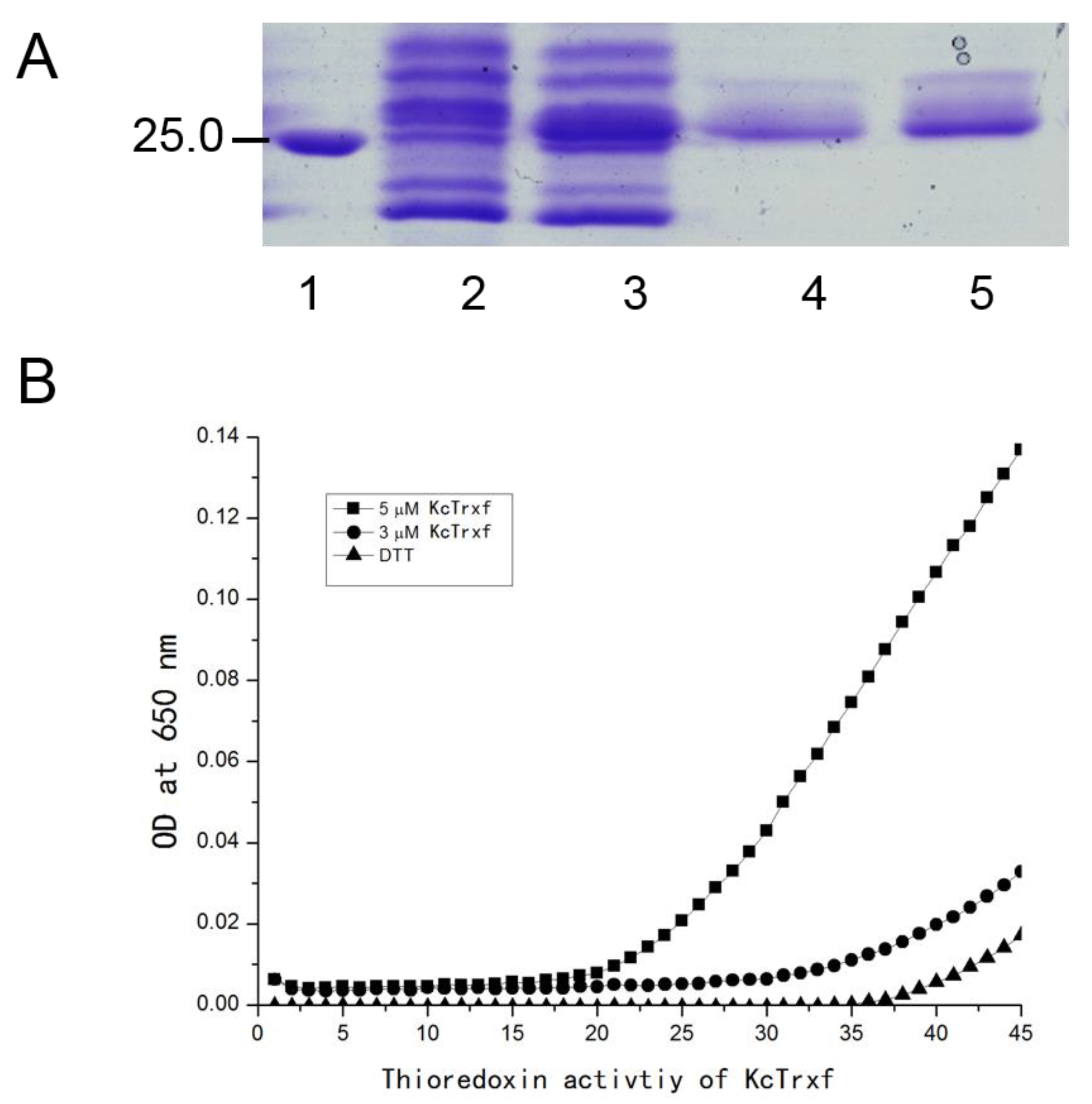 Ijms 21 03335 g005 Ijms 21 03335 g005