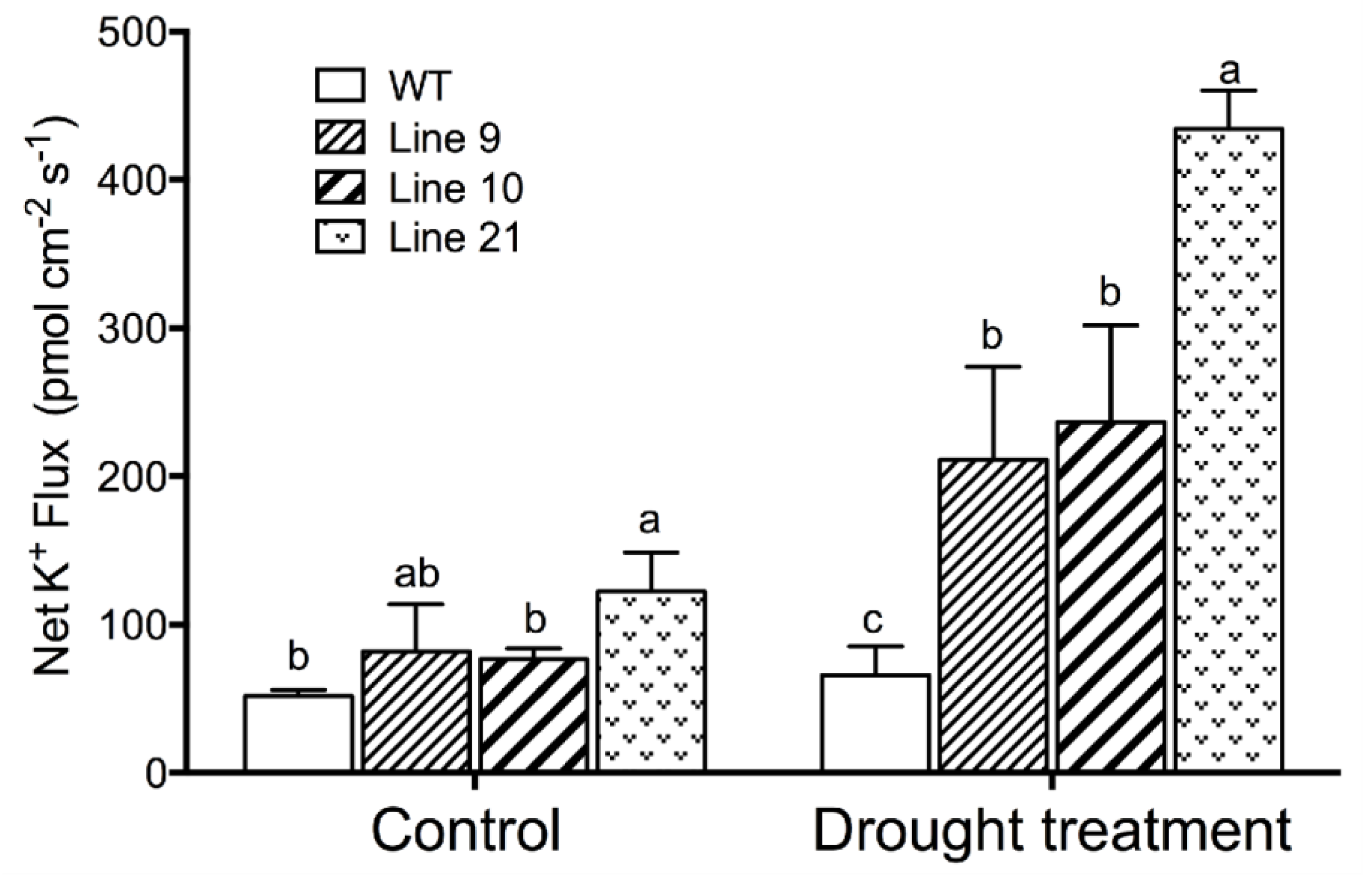Ijms 21 03335 g008 Ijms 21 03335 g008