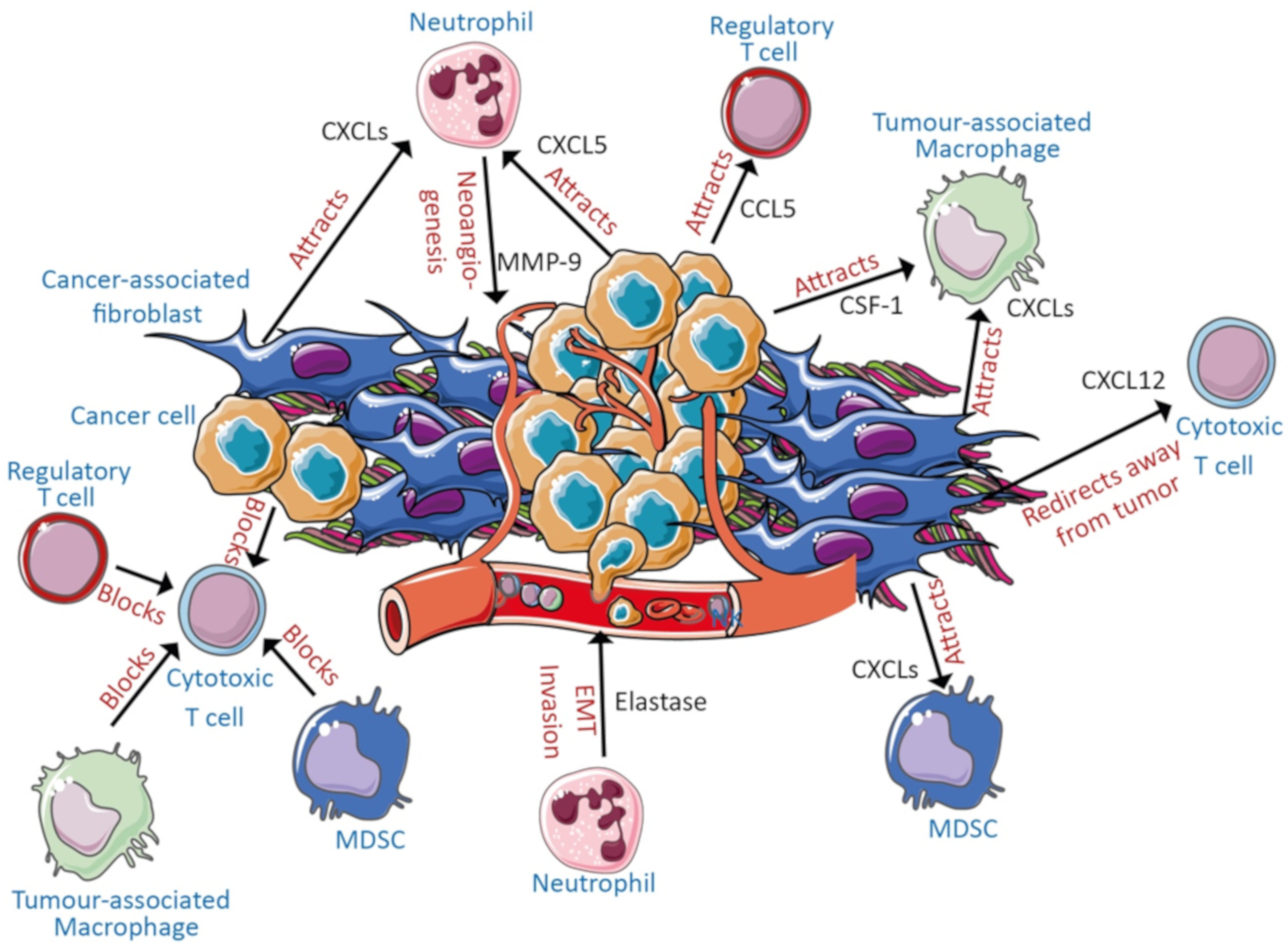 Ijms 21 03345 g002 Ijms 21 03345 g002