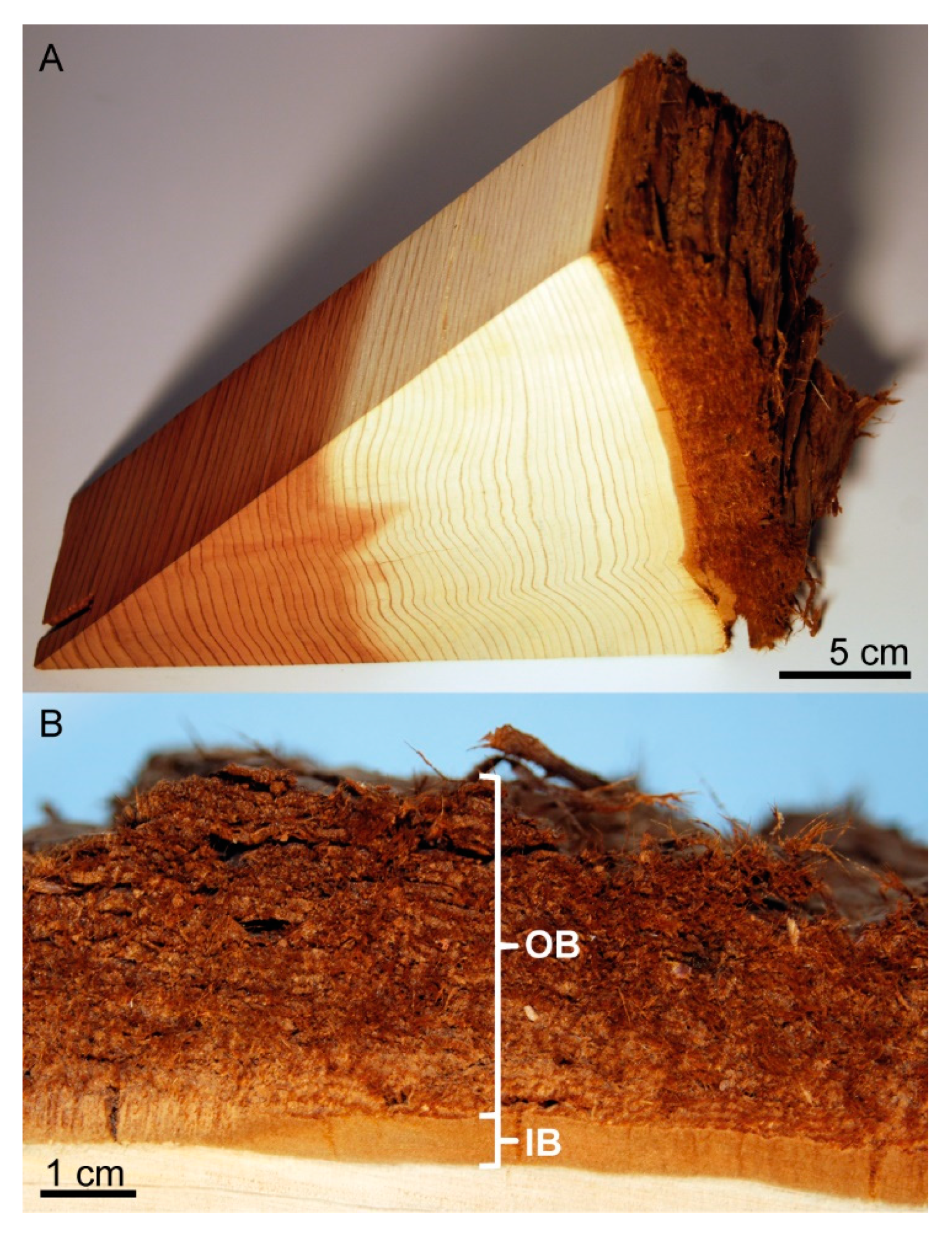 Ijms 21 03355 g001 Ijms 21 03355 g001