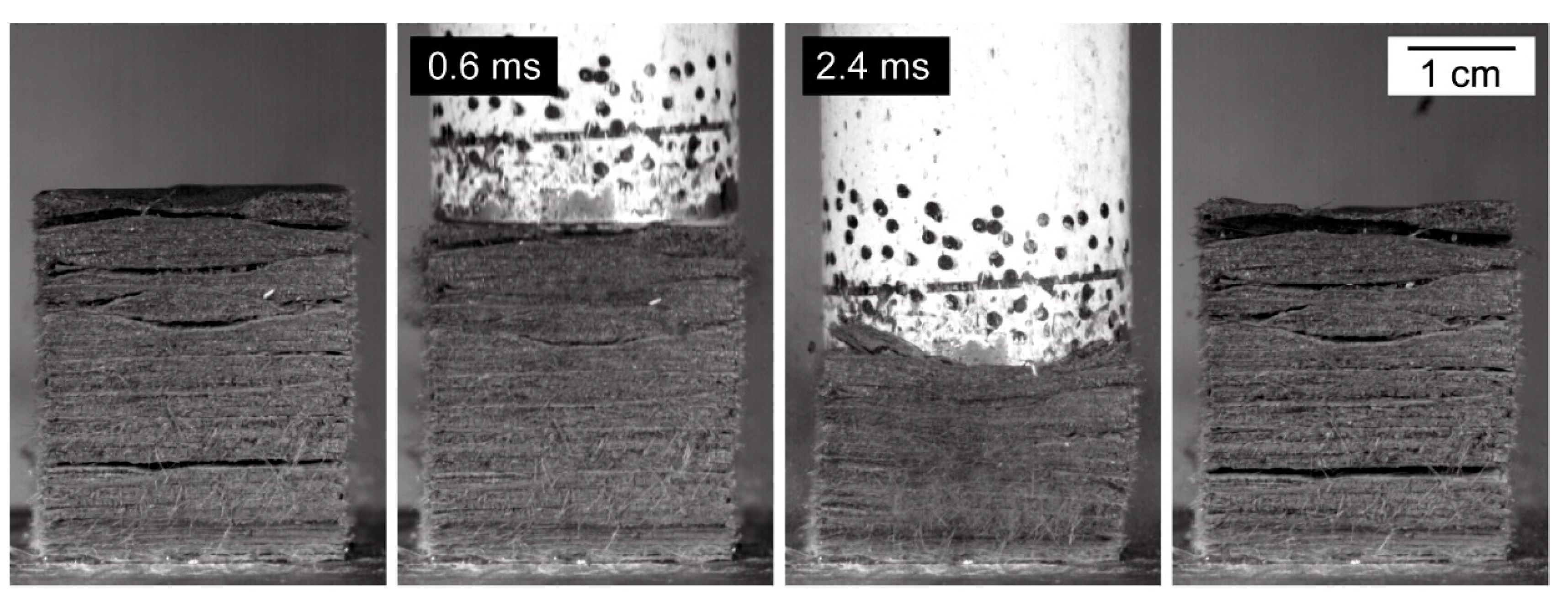 Ijms 21 03355 g006 Ijms 21 03355 g006