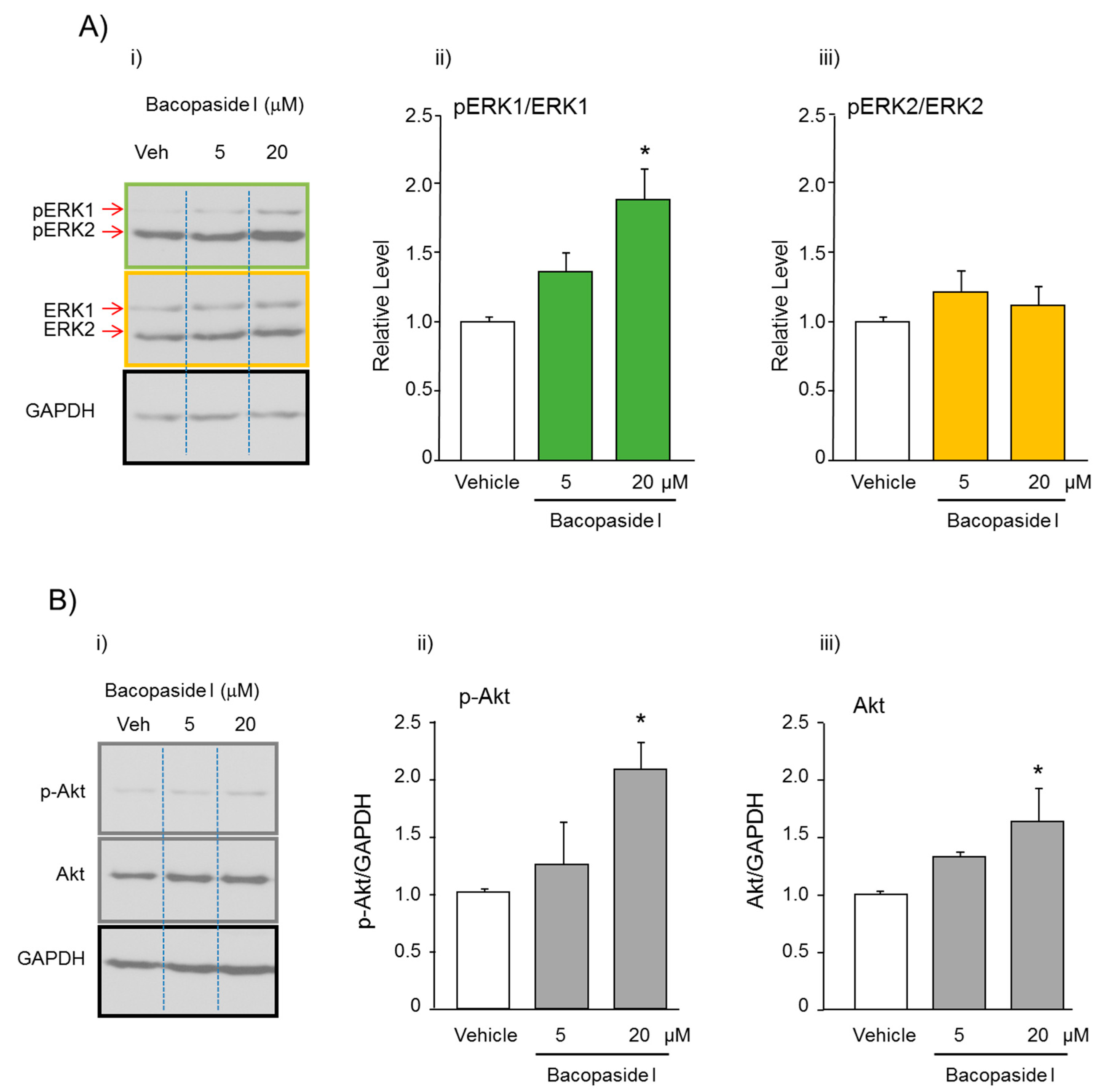 Ijms 21 03365 g006 Ijms 21 03365 g006