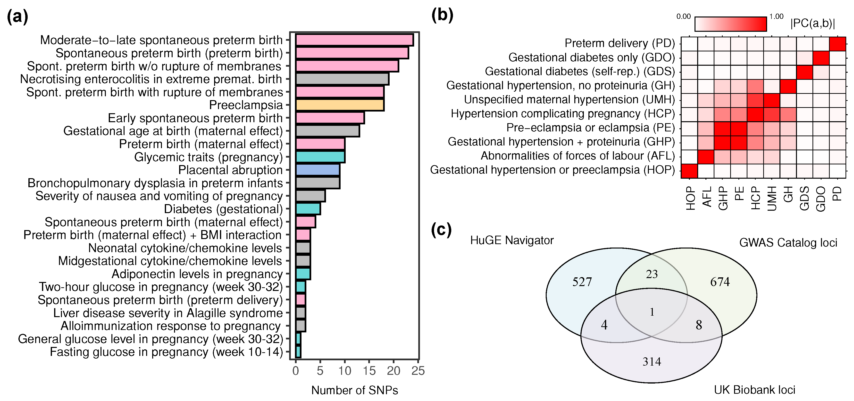 Ijms 21 03384 g003 Ijms 21 03384 g003