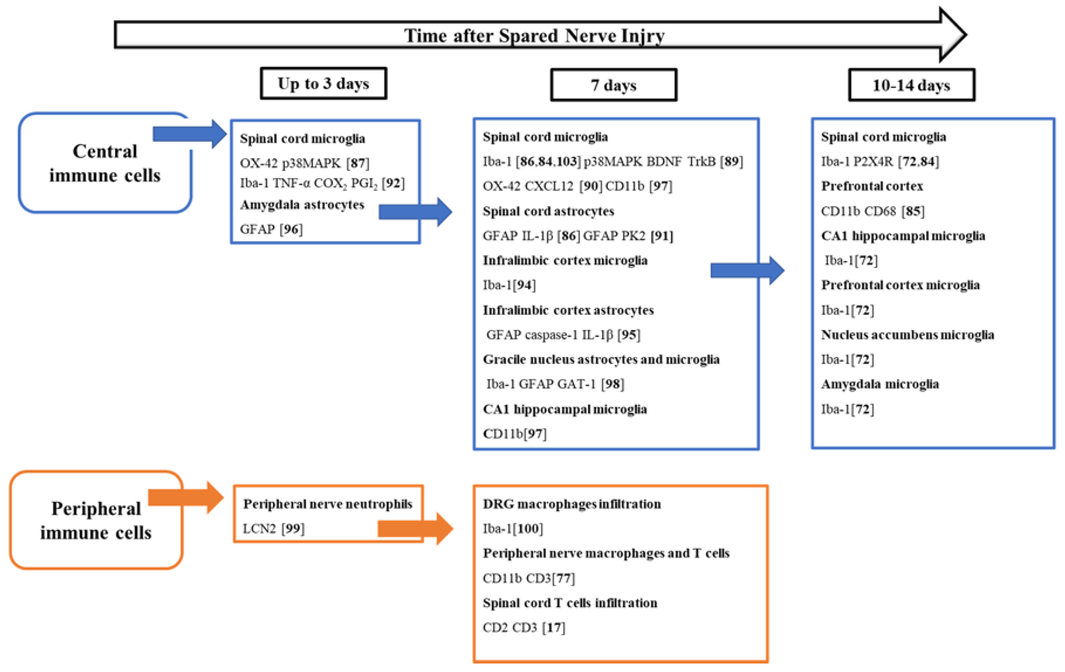Ijms 21 03396 g001 Ijms 21 03396 g001