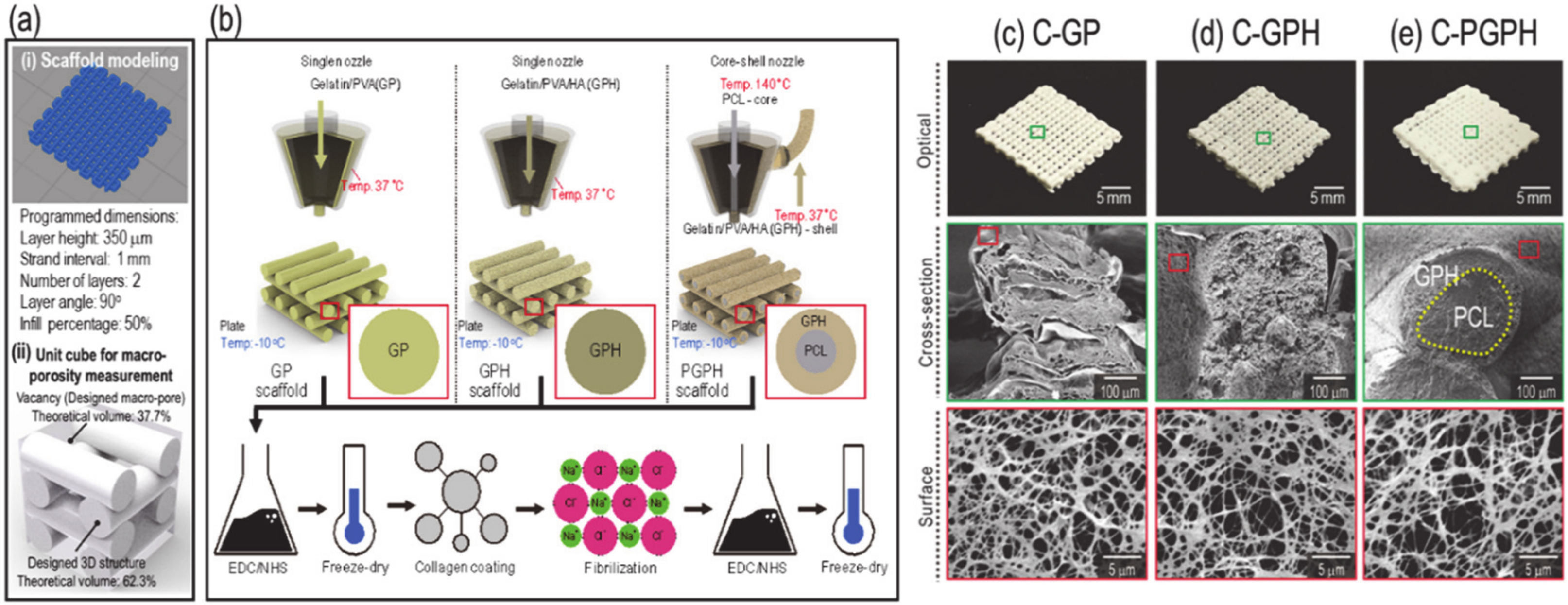 Ijms 21 03401 g001 Ijms 21 03401 g001