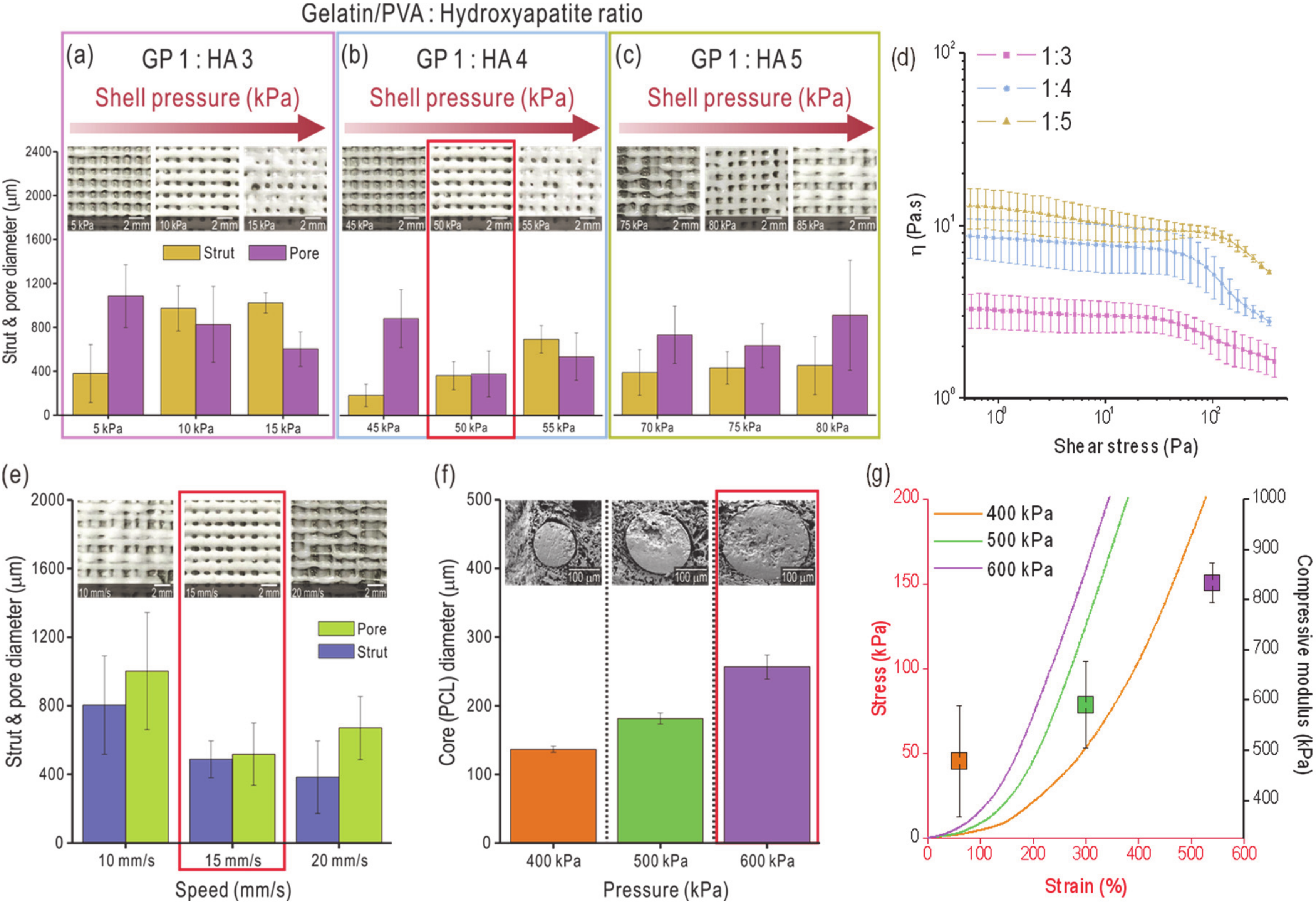 Ijms 21 03401 g002 Ijms 21 03401 g002