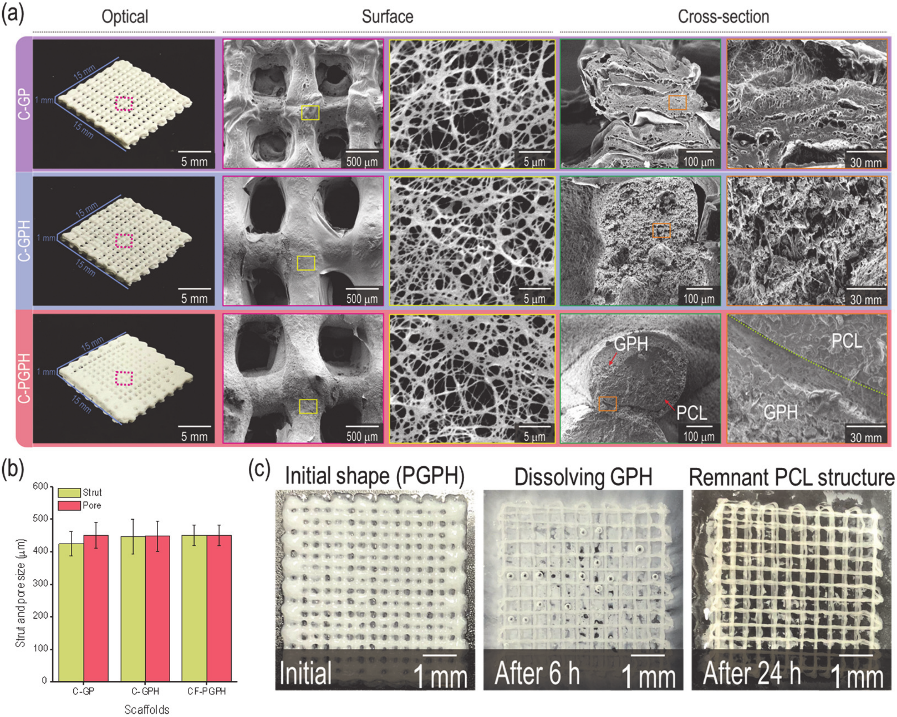 Ijms 21 03401 g003 Ijms 21 03401 g003