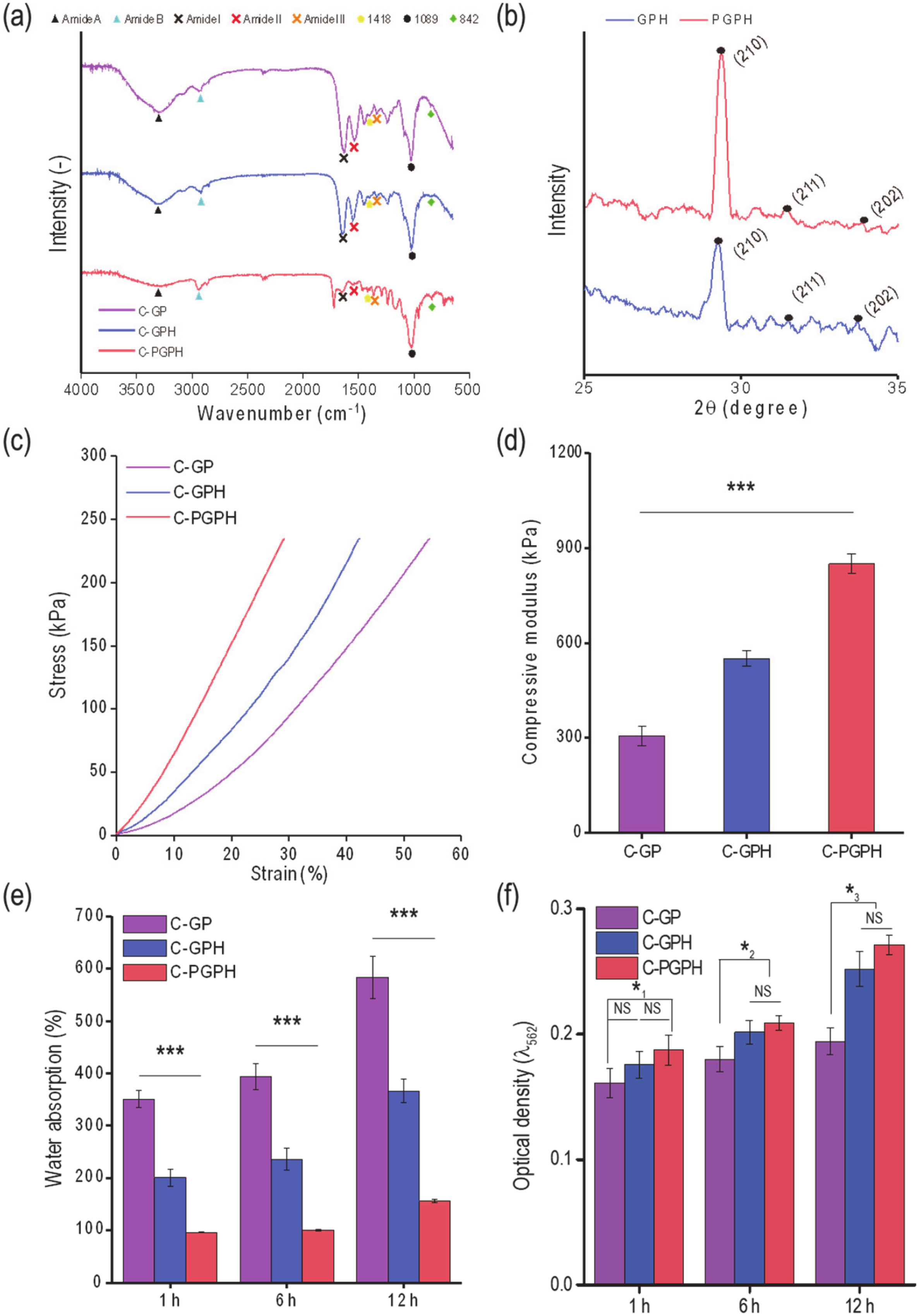 Ijms 21 03401 g004 Ijms 21 03401 g004
