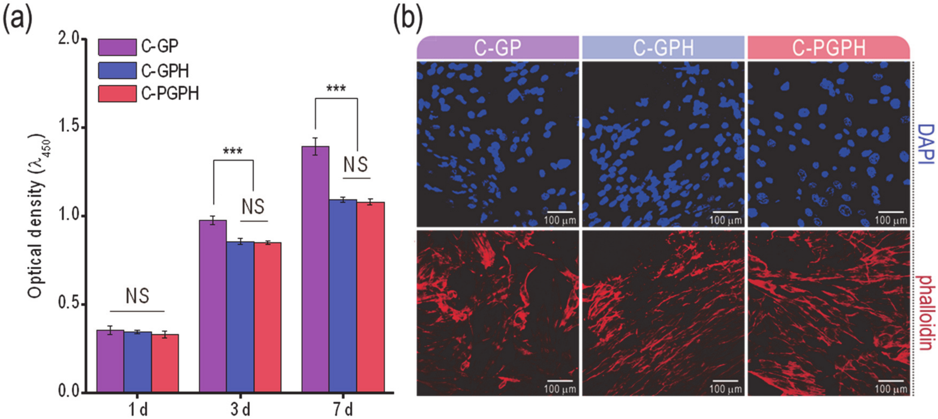 Ijms 21 03401 g005 Ijms 21 03401 g005