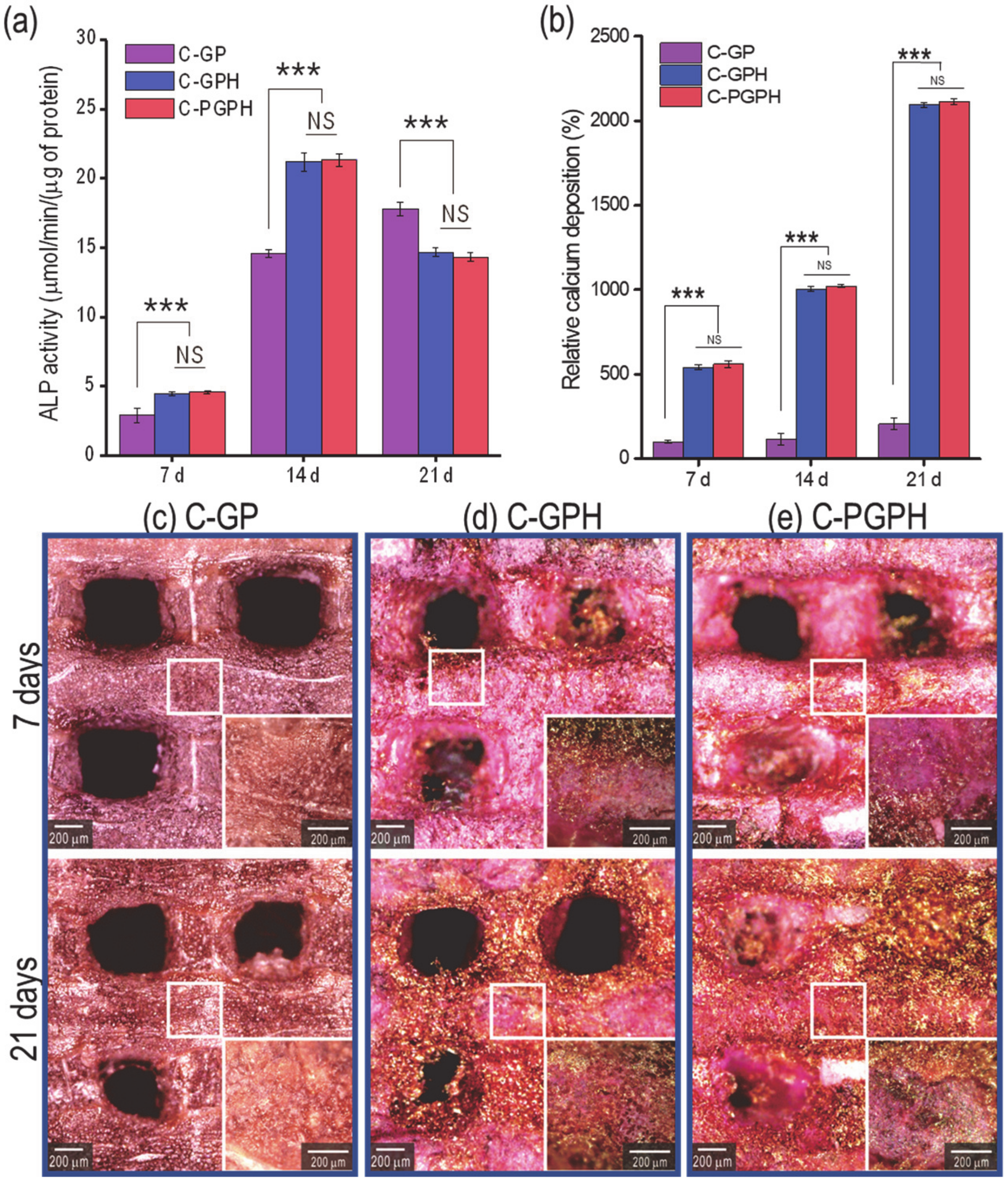 Ijms 21 03401 g006 Ijms 21 03401 g006