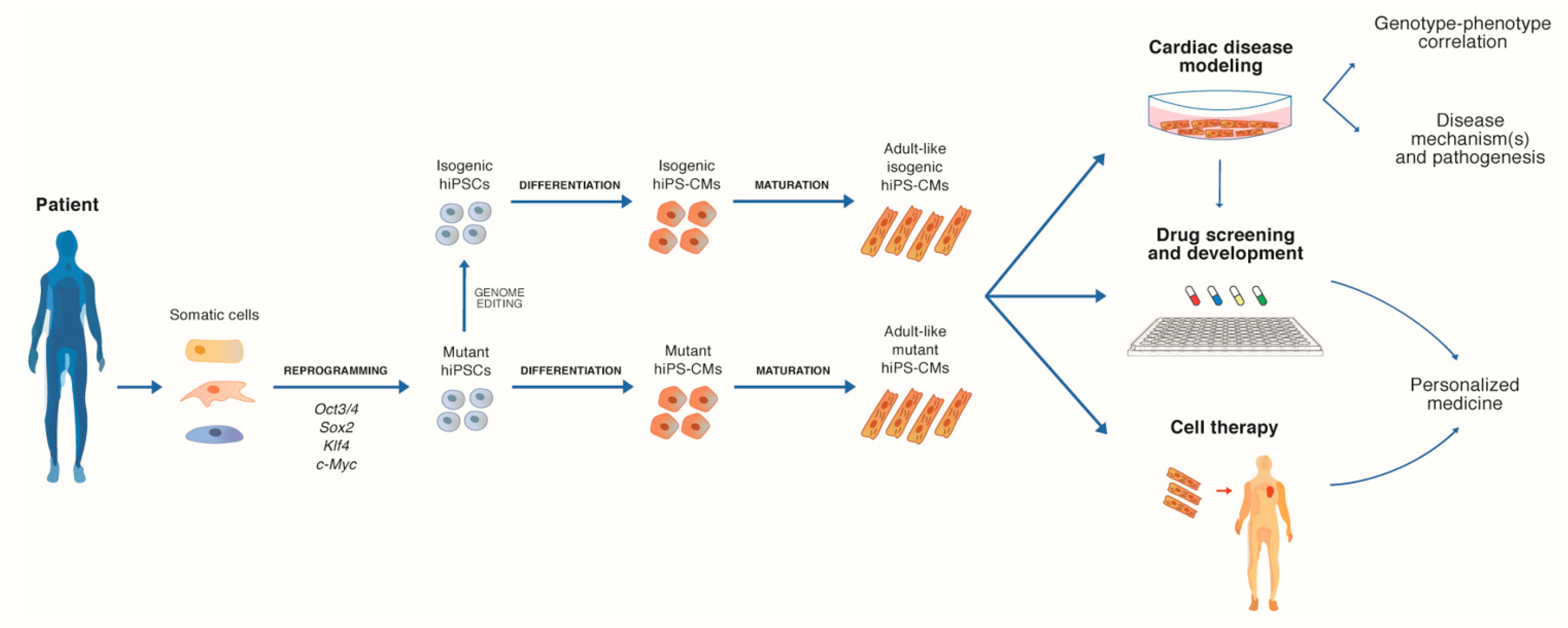 Ijms 21 03404 g001 Ijms 21 03404 g001