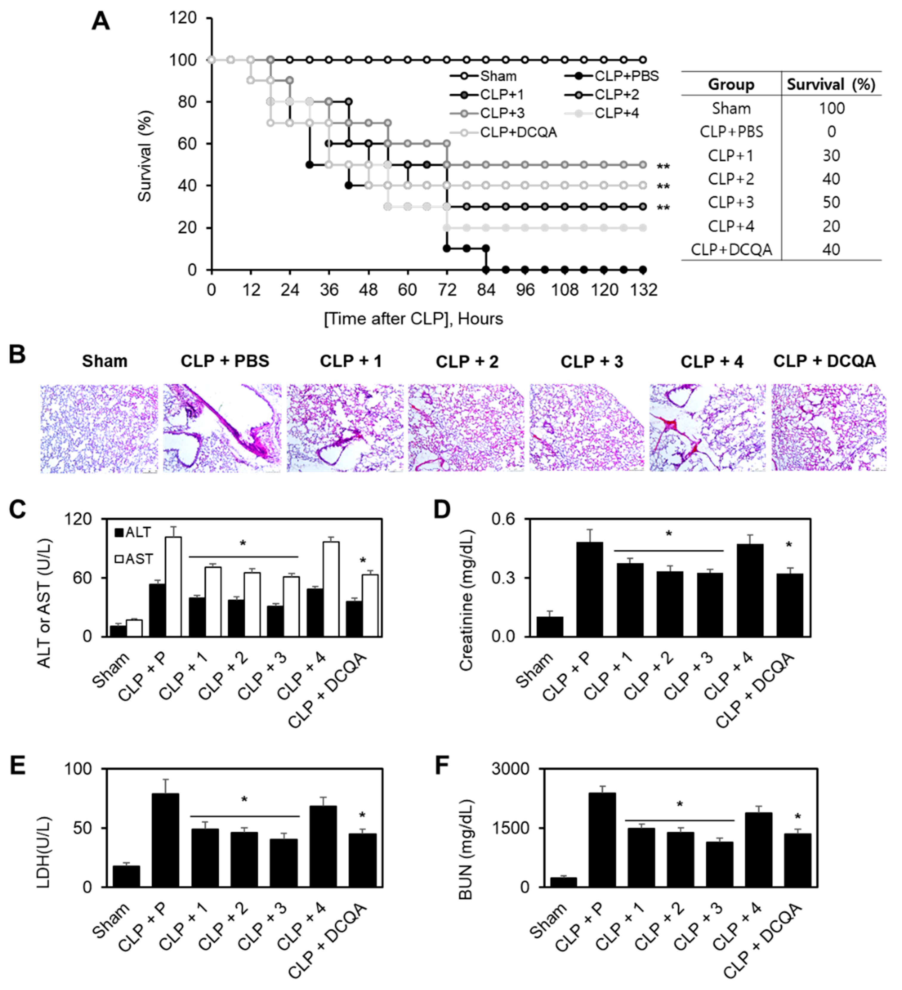 Ijms 21 03406 g005 Ijms 21 03406 g005