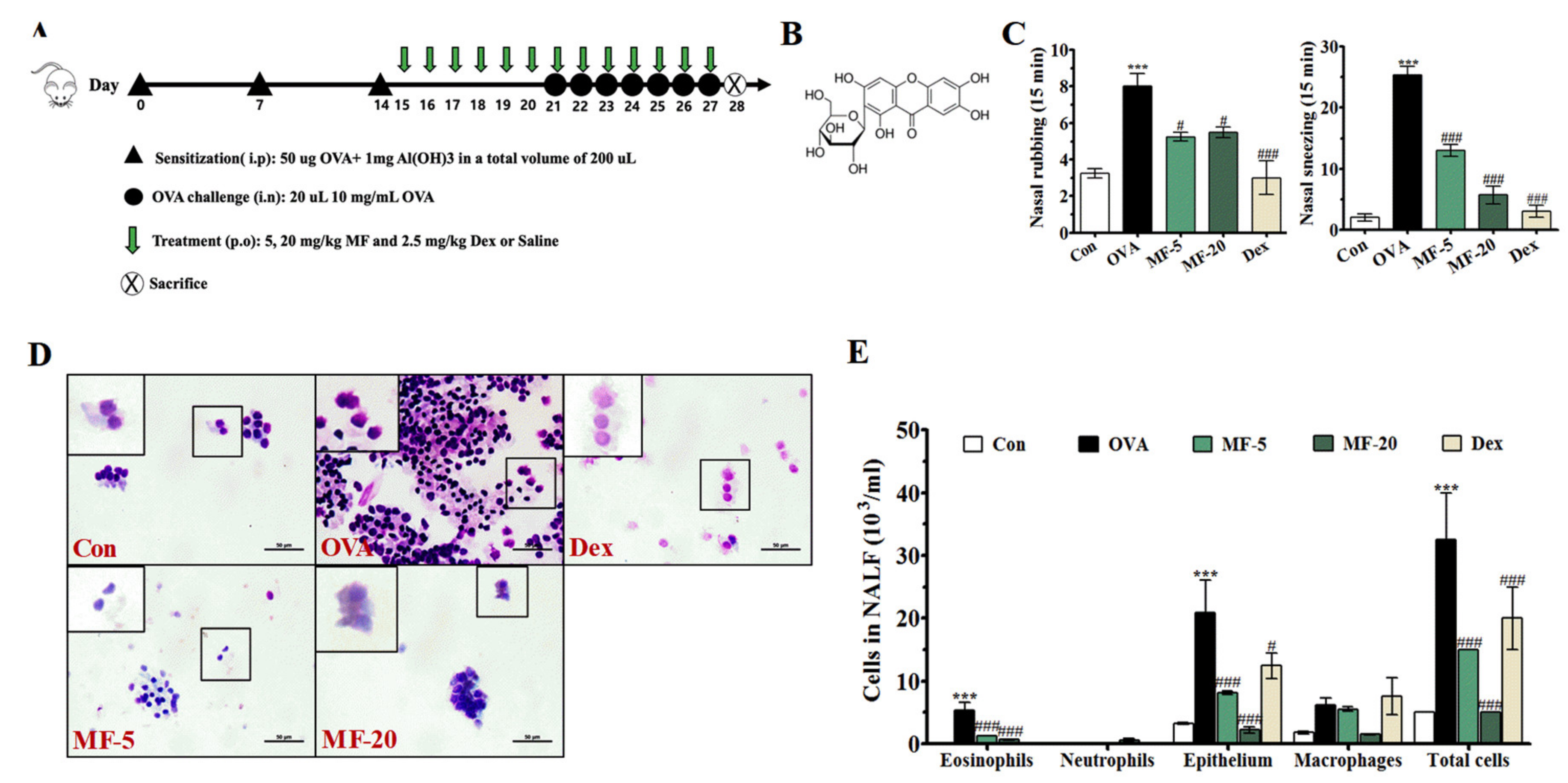 Ijms 21 03415 g001 Ijms 21 03415 g001