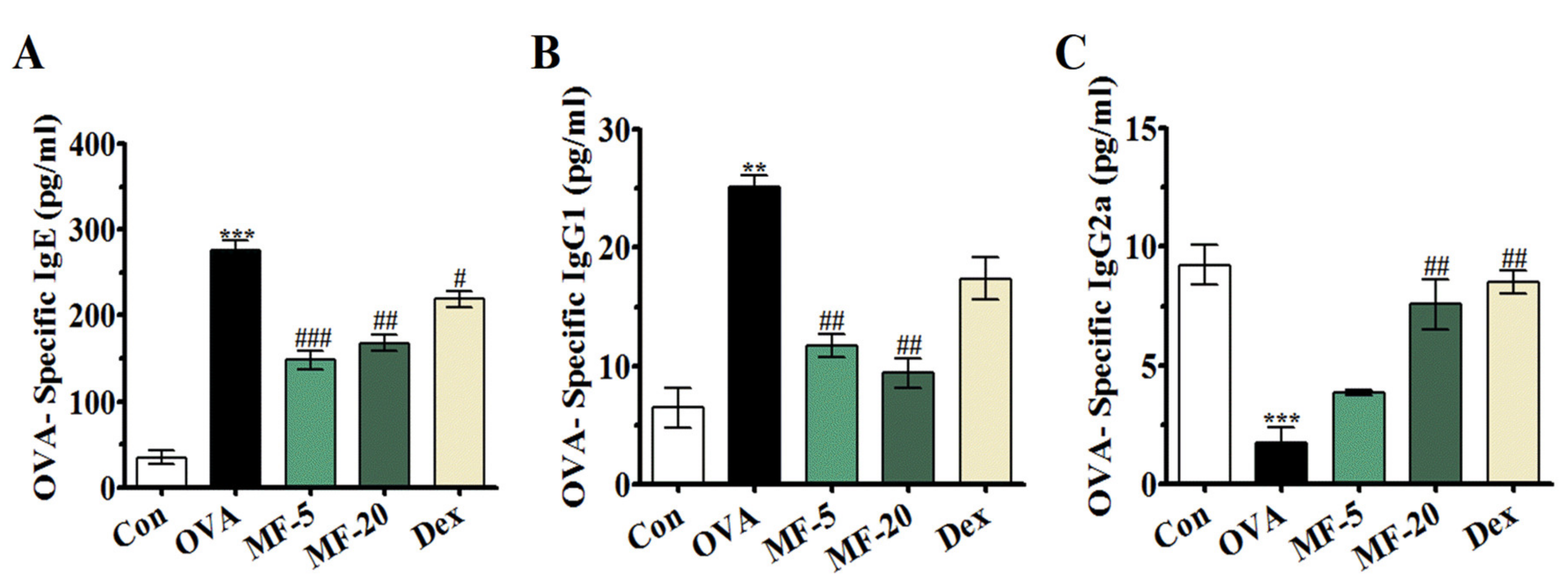 Ijms 21 03415 g003 Ijms 21 03415 g003