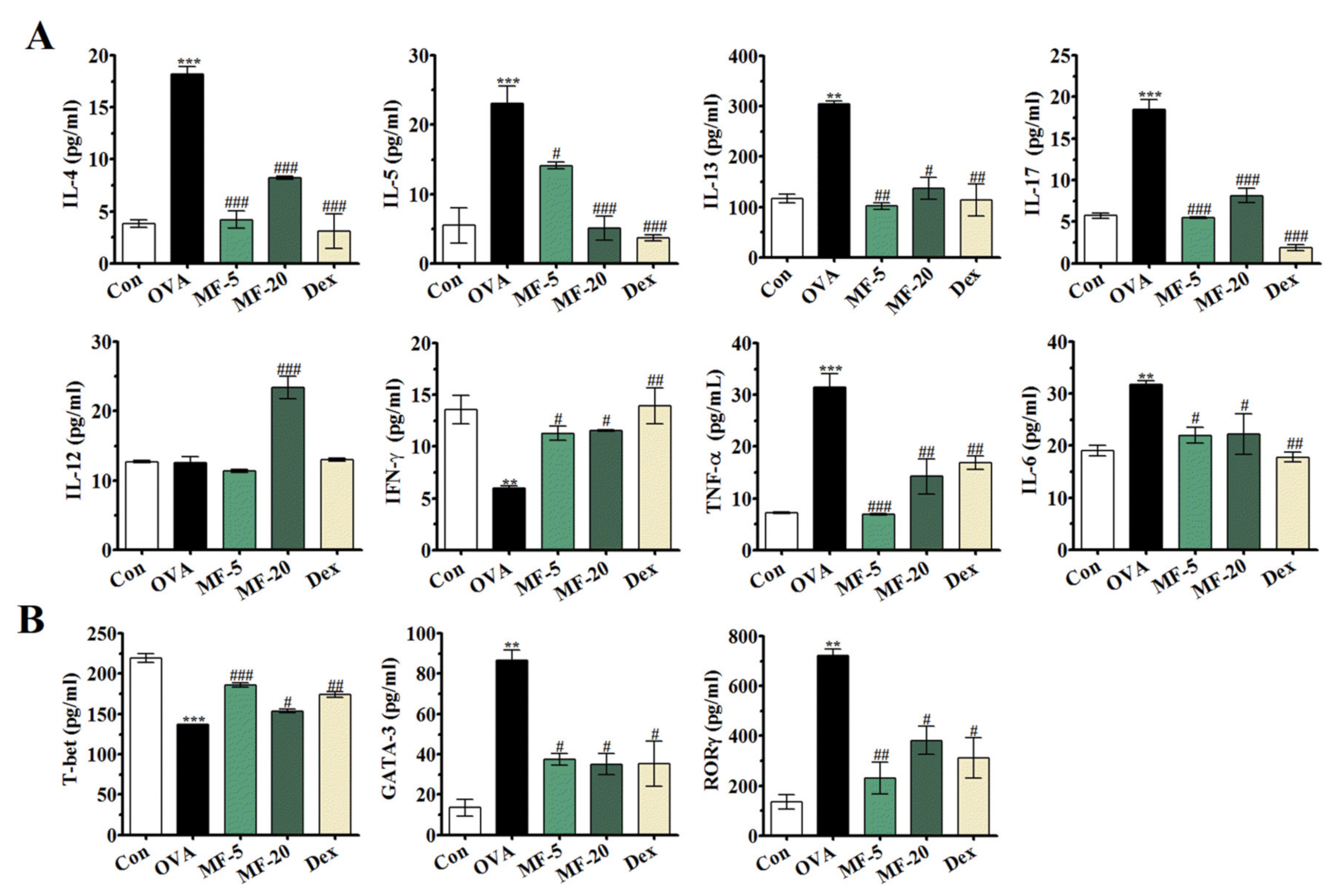 Ijms 21 03415 g005 Ijms 21 03415 g005