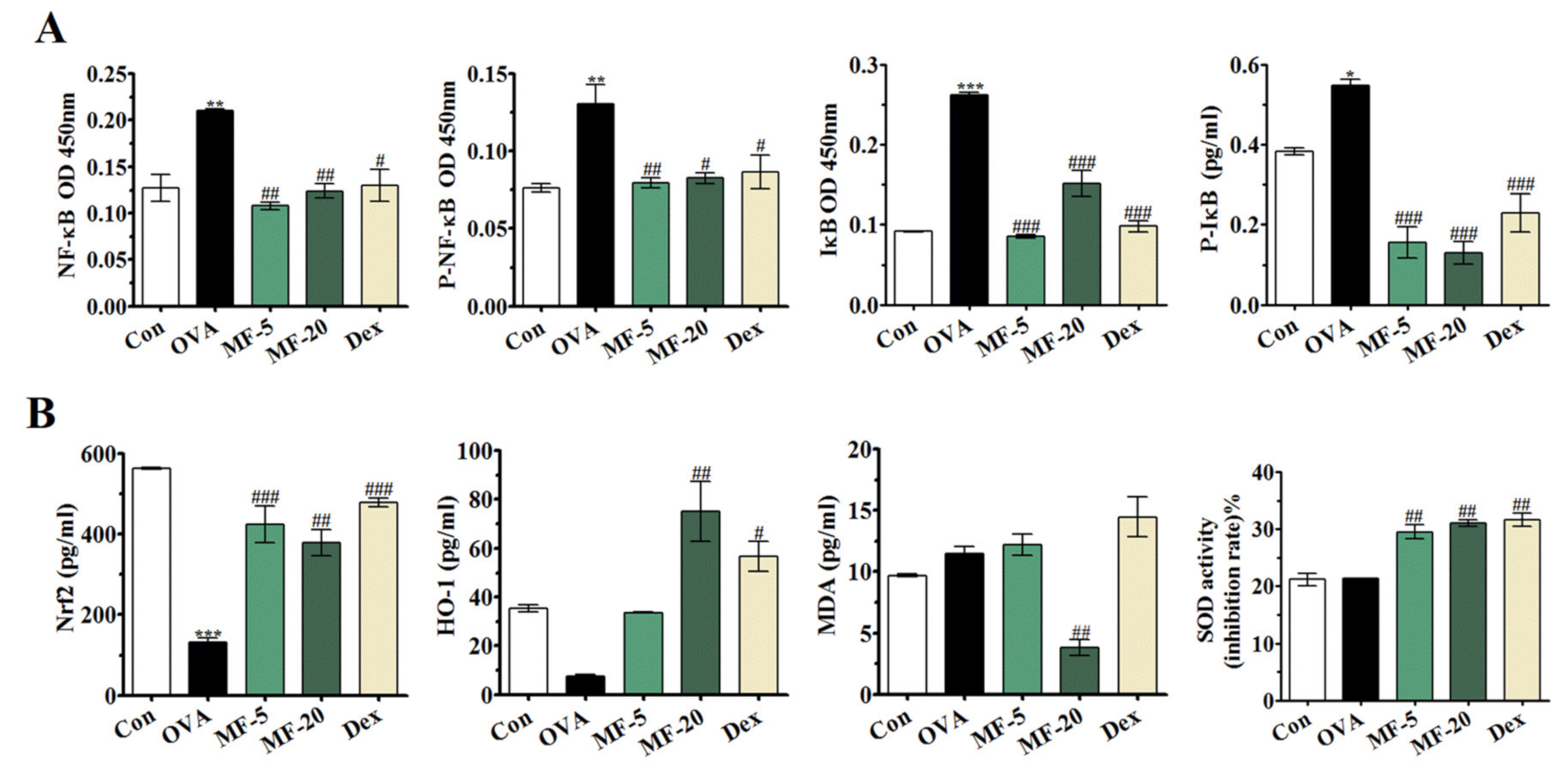 Ijms 21 03415 g006 Ijms 21 03415 g006