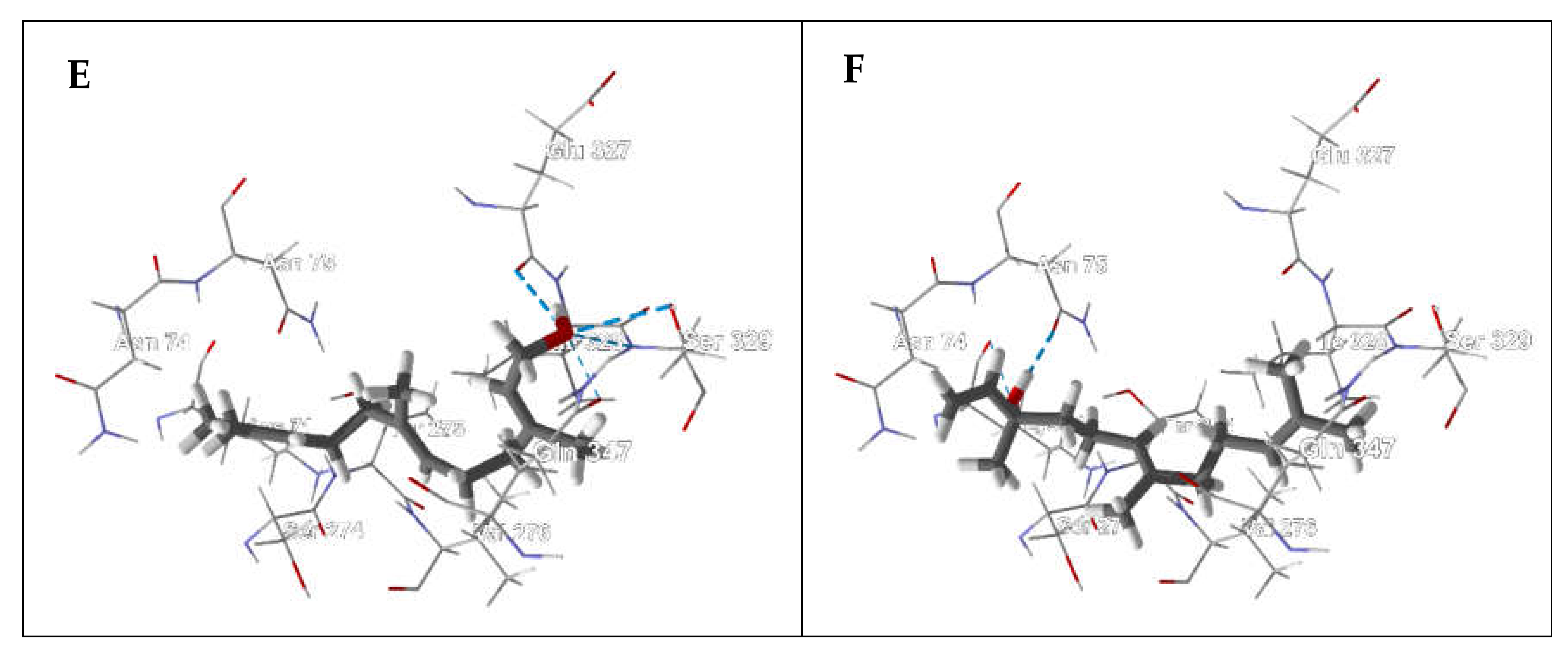 Ijms 21 03426 g003b Ijms 21 03426 g003b