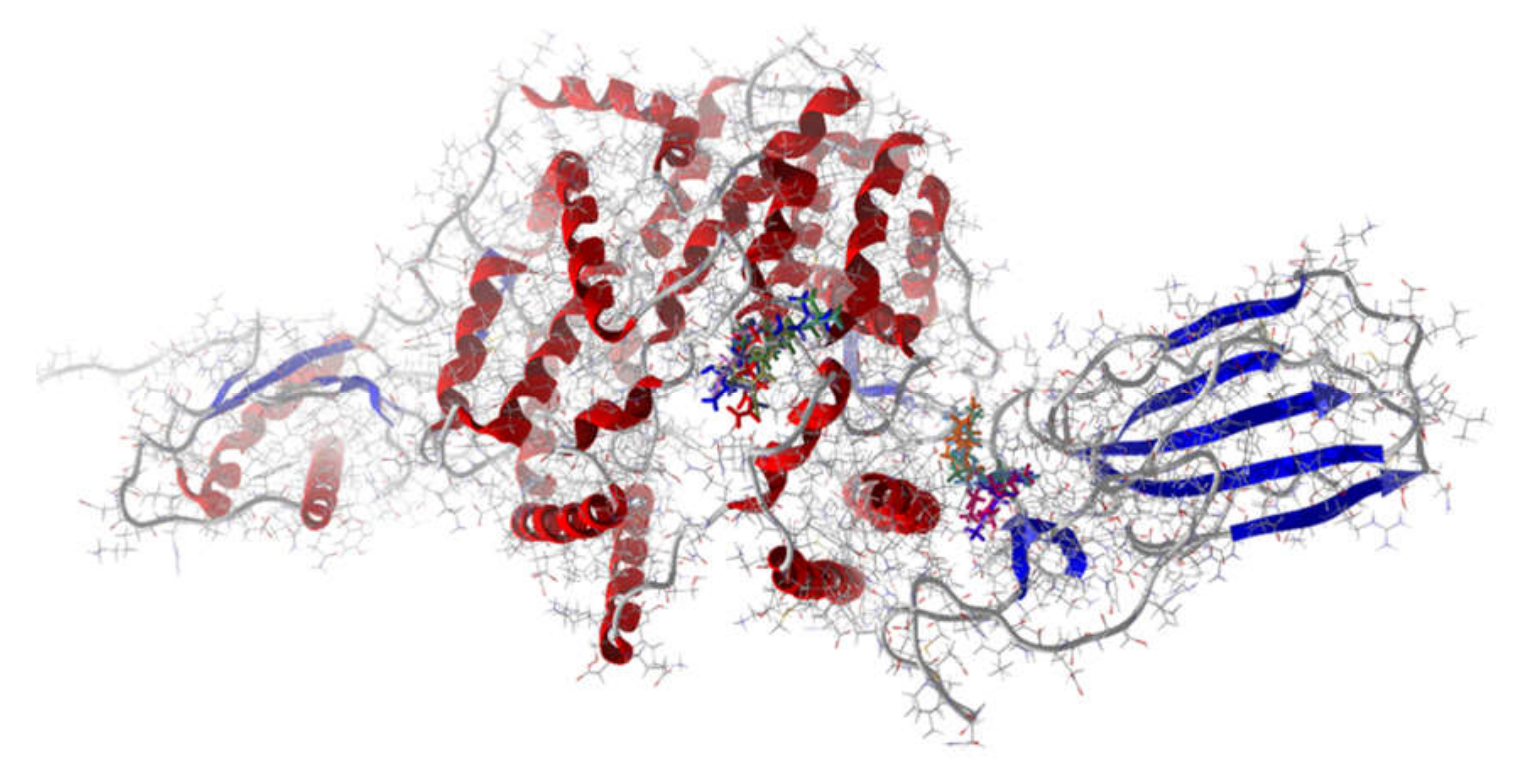 Ijms 21 03426 g006 Ijms 21 03426 g006