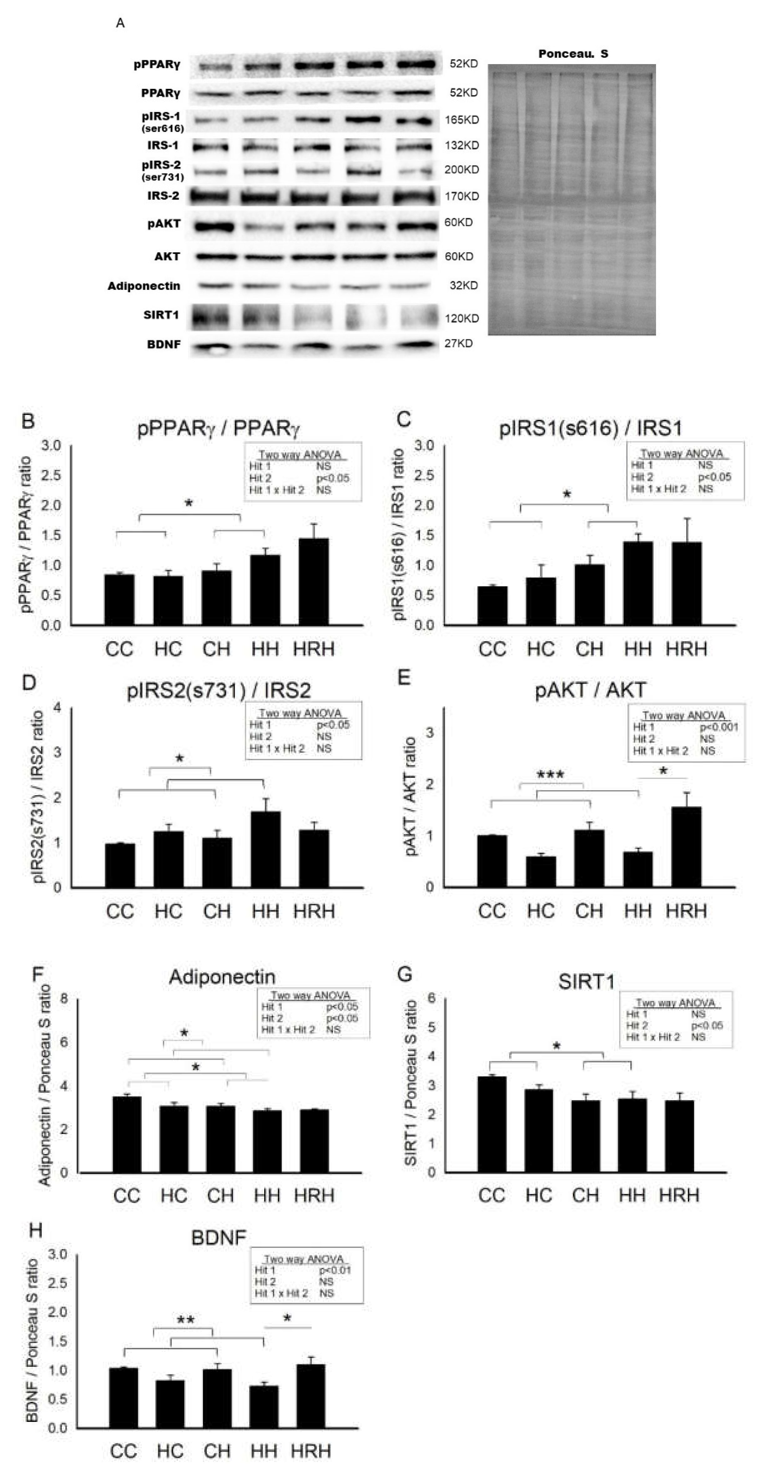 Ijms 21 03428 g007 Ijms 21 03428 g007