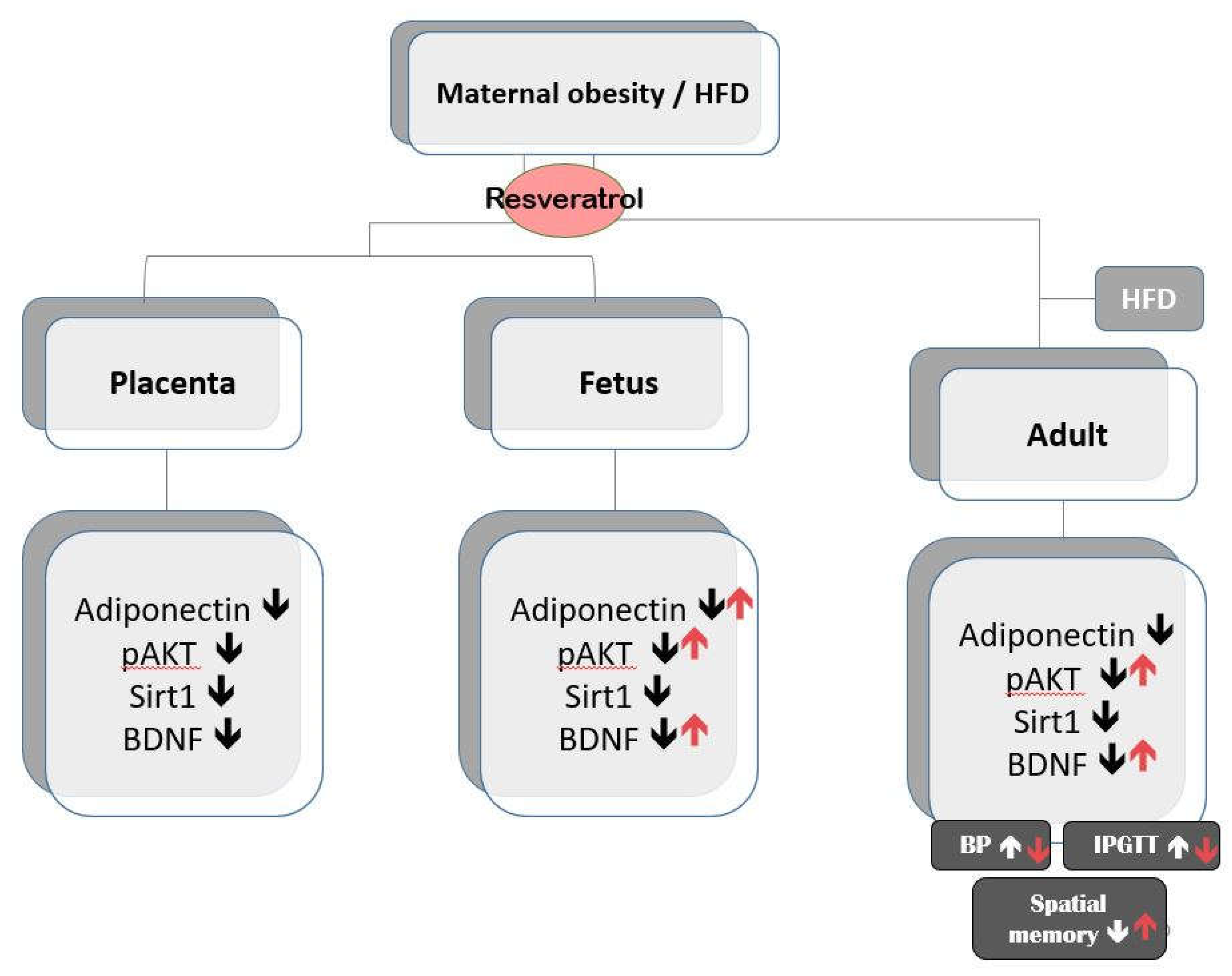 Ijms 21 03428 g008 Ijms 21 03428 g008
