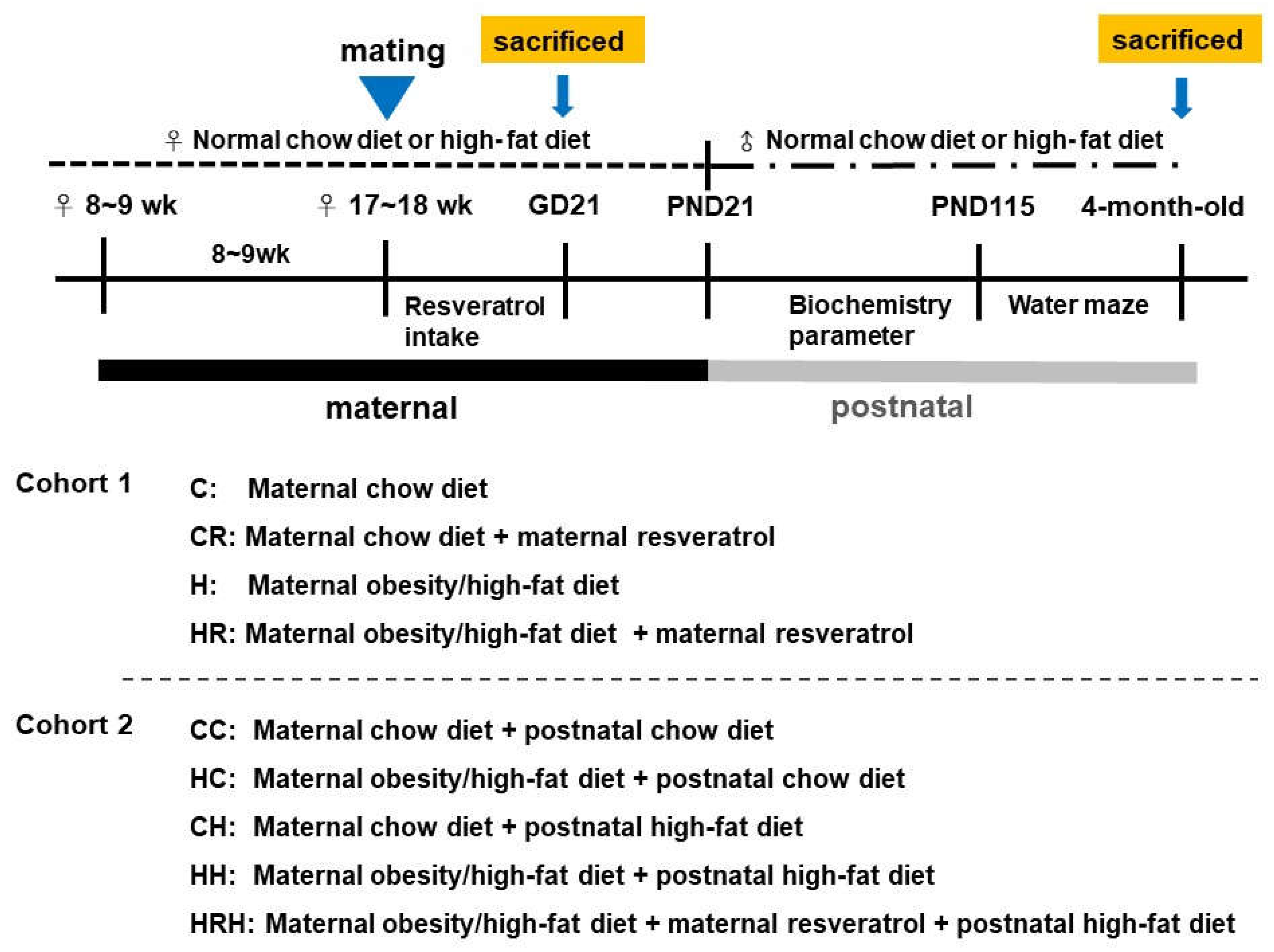 Ijms 21 03428 g009 Ijms 21 03428 g009