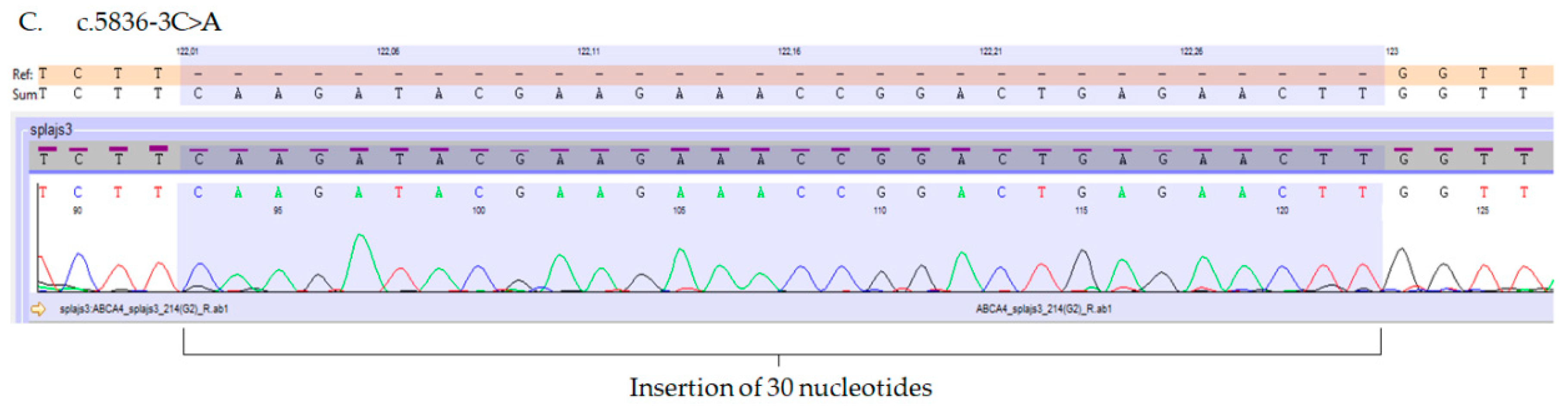 Ijms 21 03430 g003b Ijms 21 03430 g003b