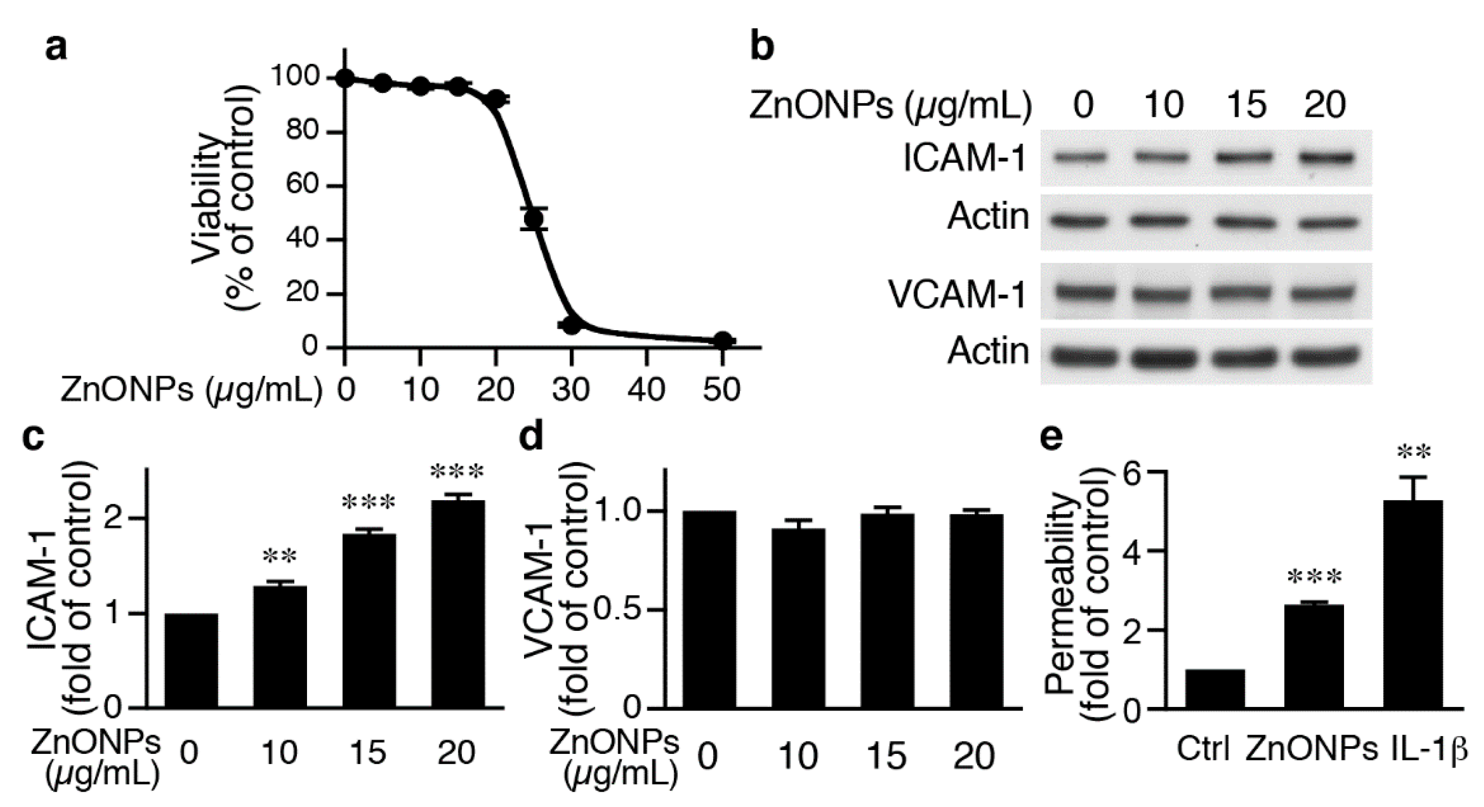 Ijms 21 03437 g003 Ijms 21 03437 g003