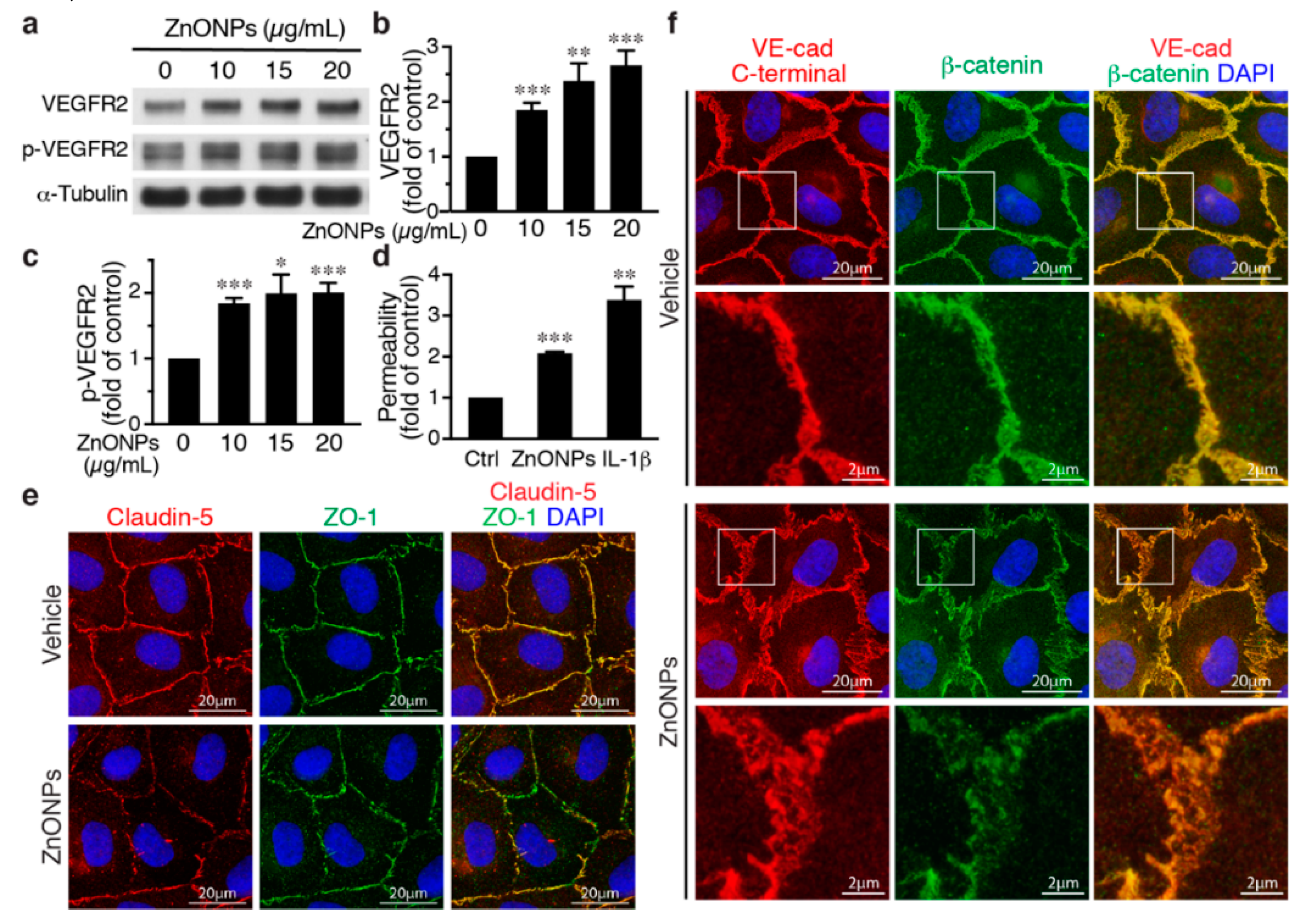Ijms 21 03437 g006 Ijms 21 03437 g006