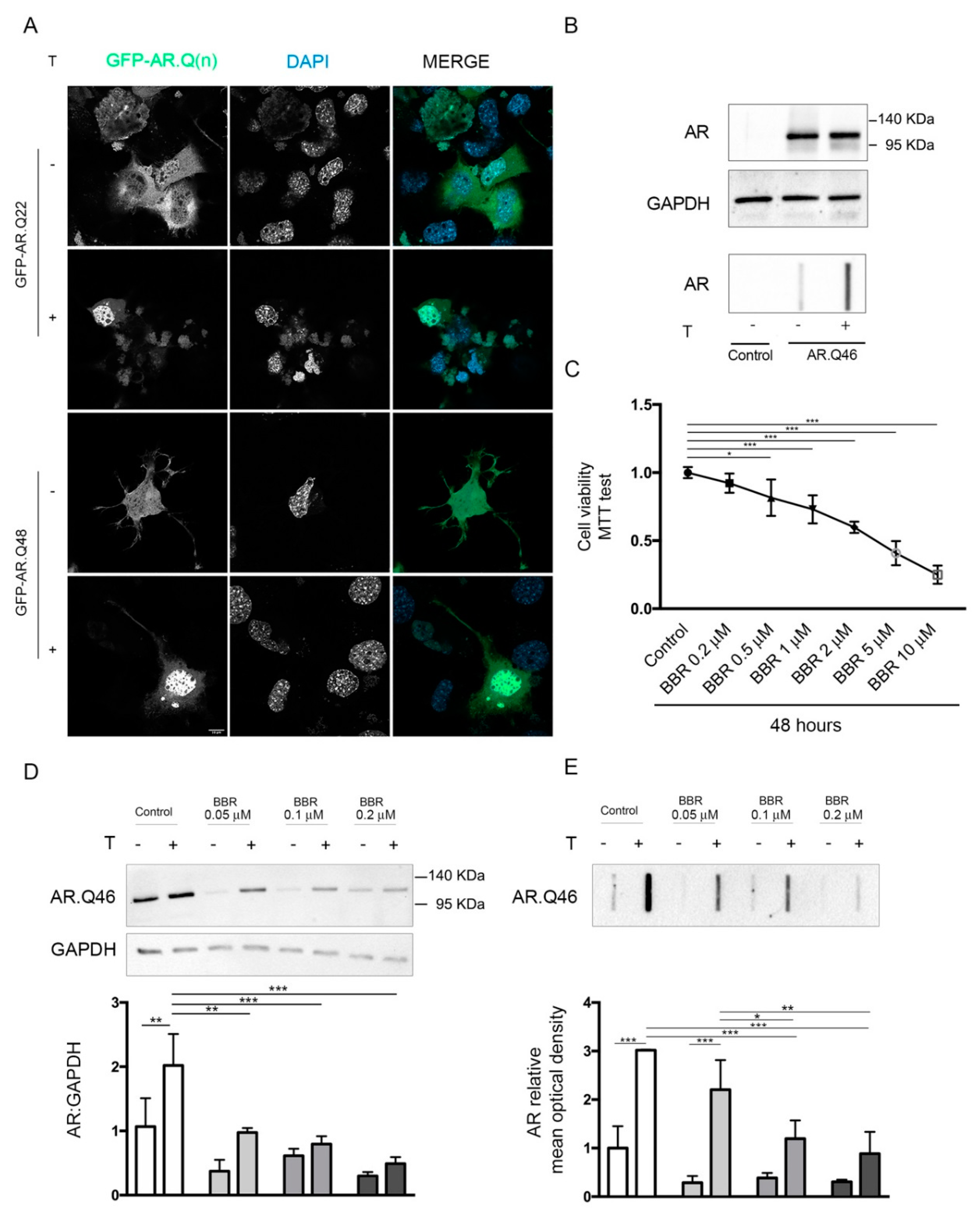 Ijms 21 03443 g001 Ijms 21 03443 g001