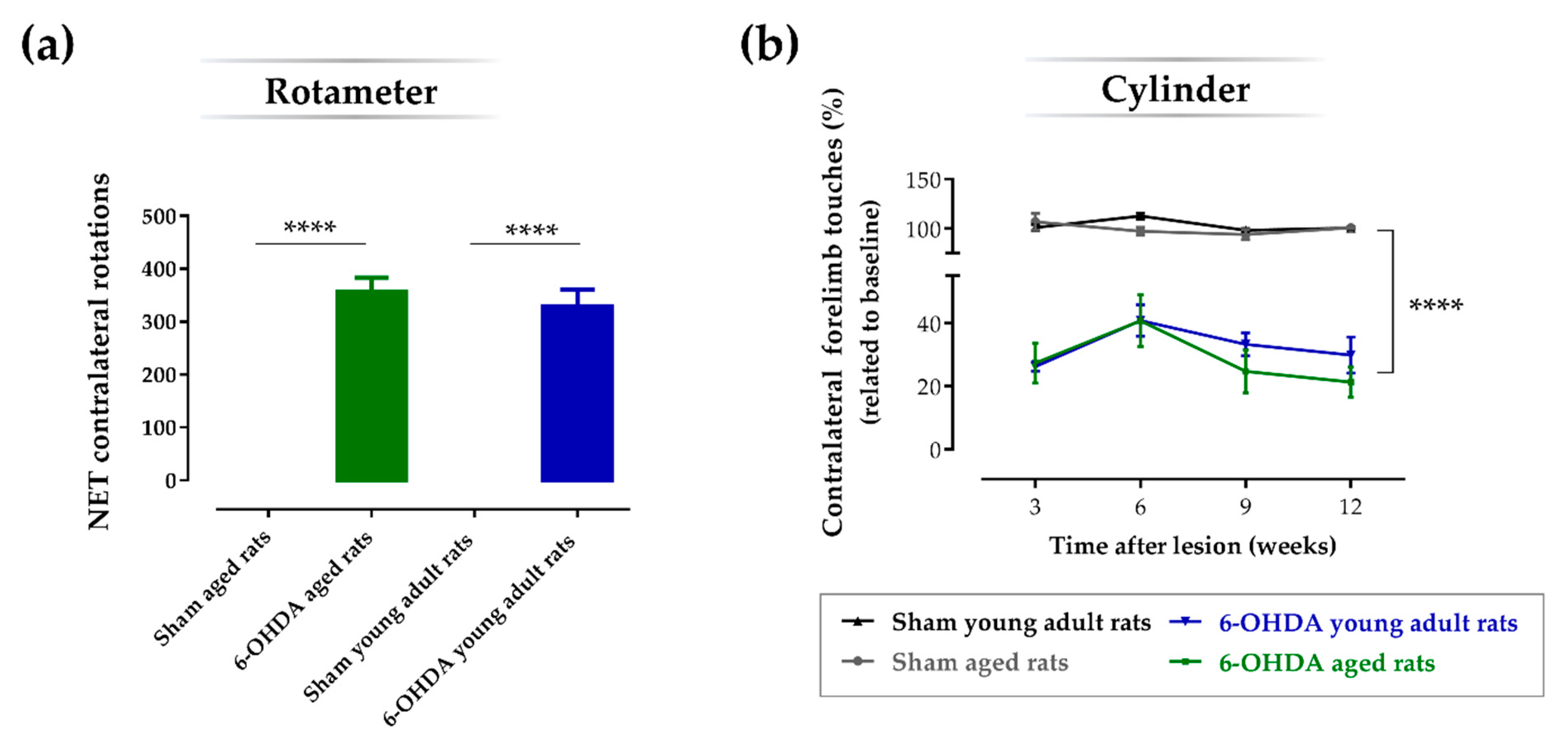 Ijms 21 03459 g002 Ijms 21 03459 g002
