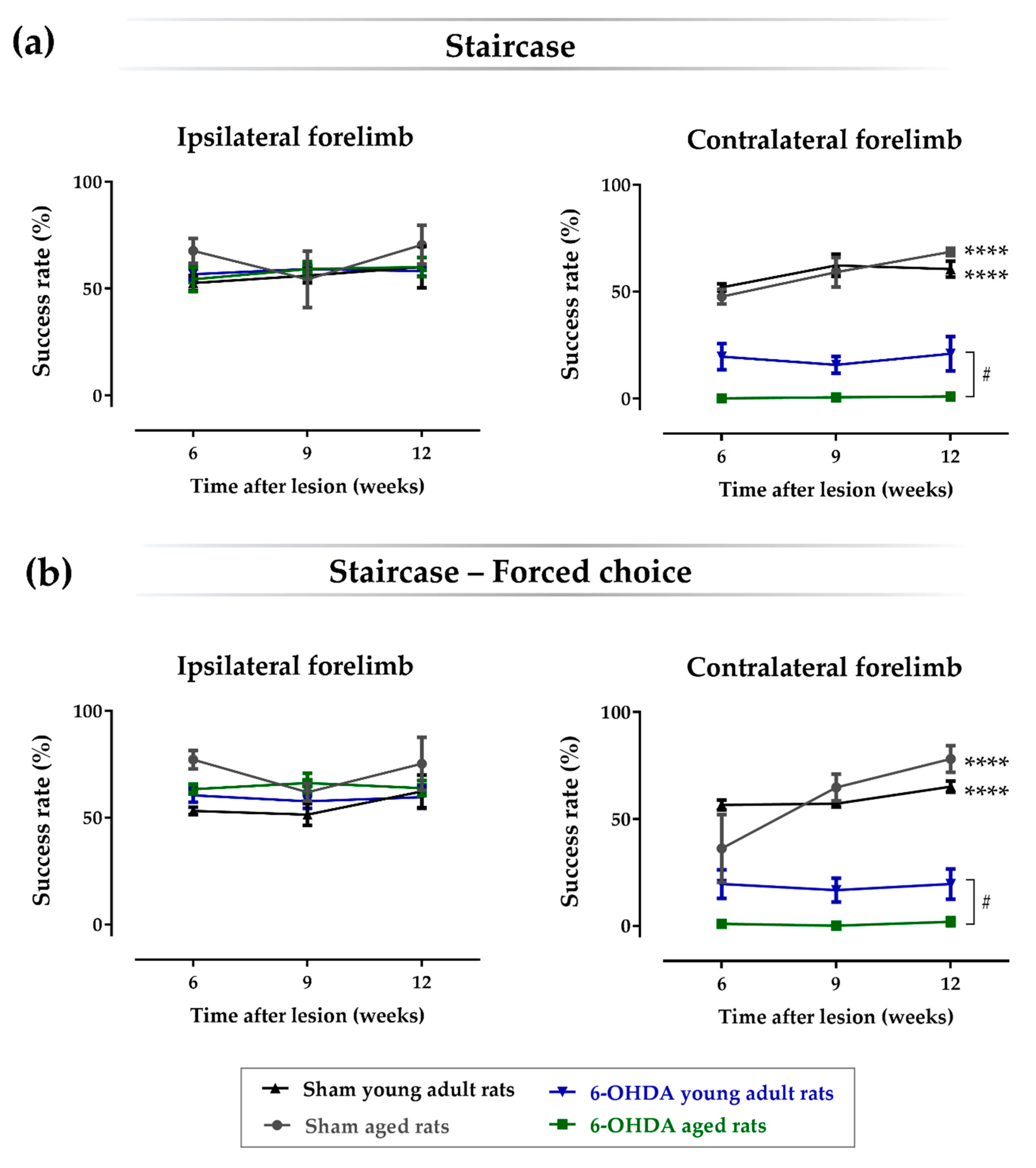 Ijms 21 03459 g003 Ijms 21 03459 g003