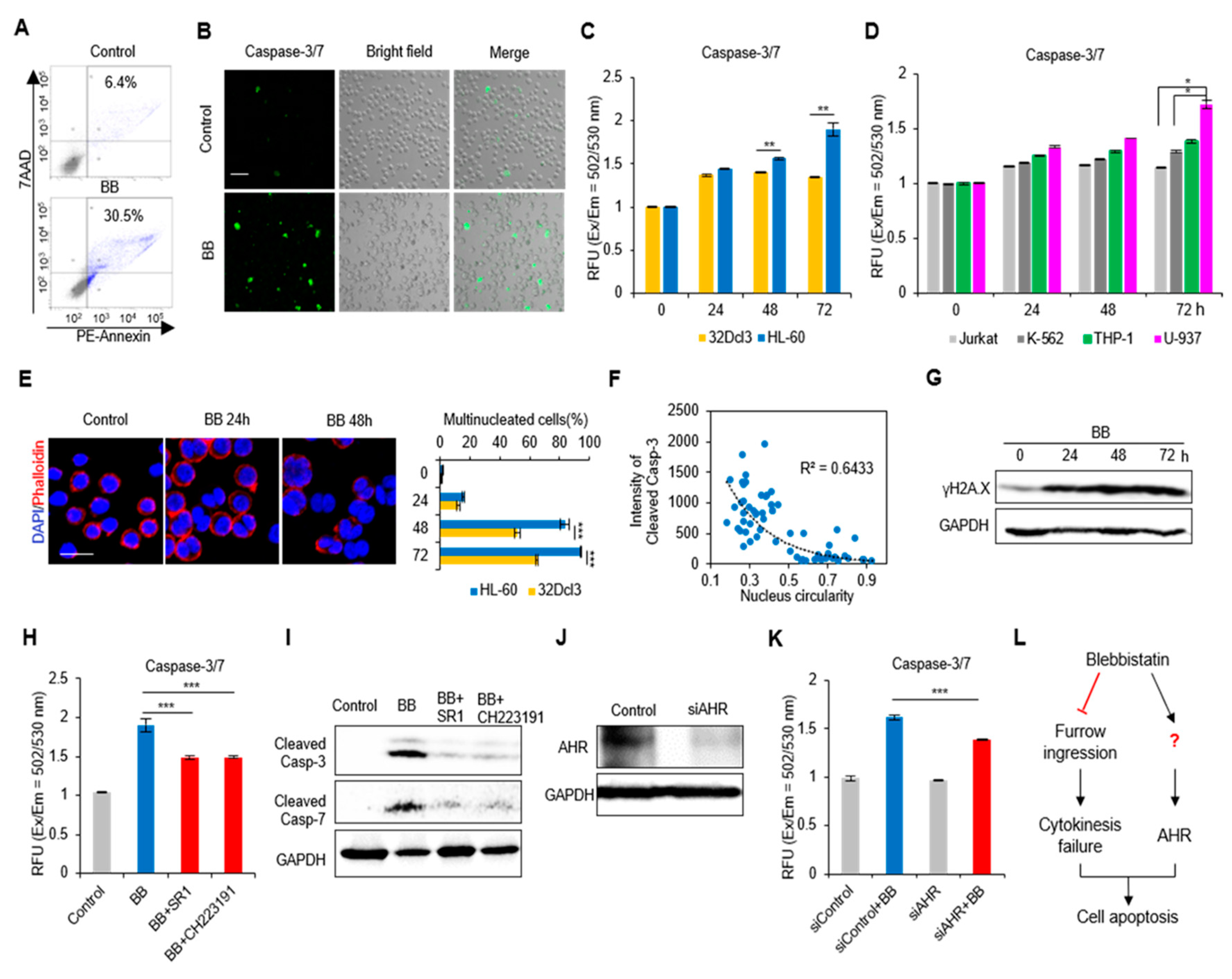 Ijms 21 03460 g002 Ijms 21 03460 g002