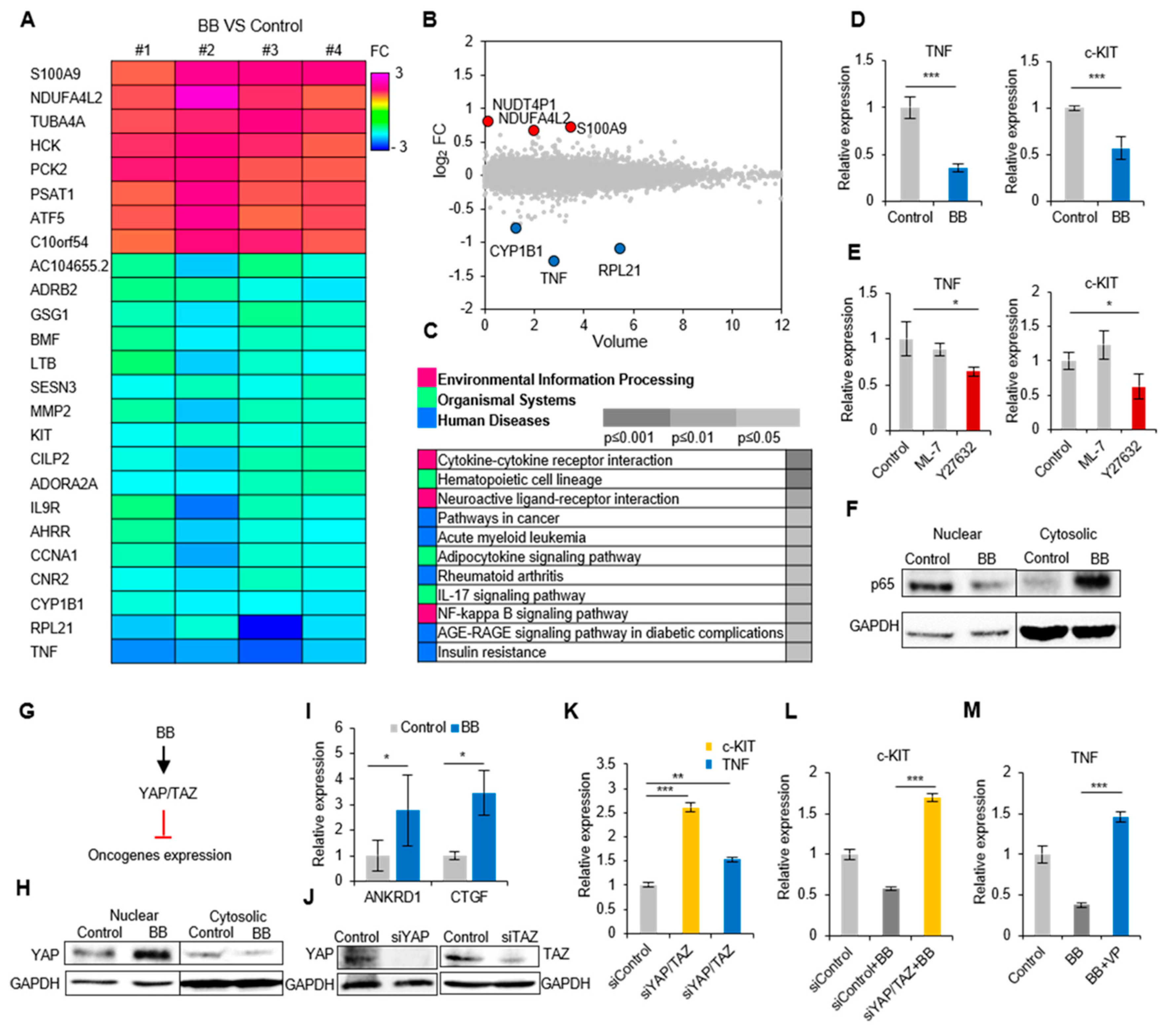 Ijms 21 03460 g003 Ijms 21 03460 g003