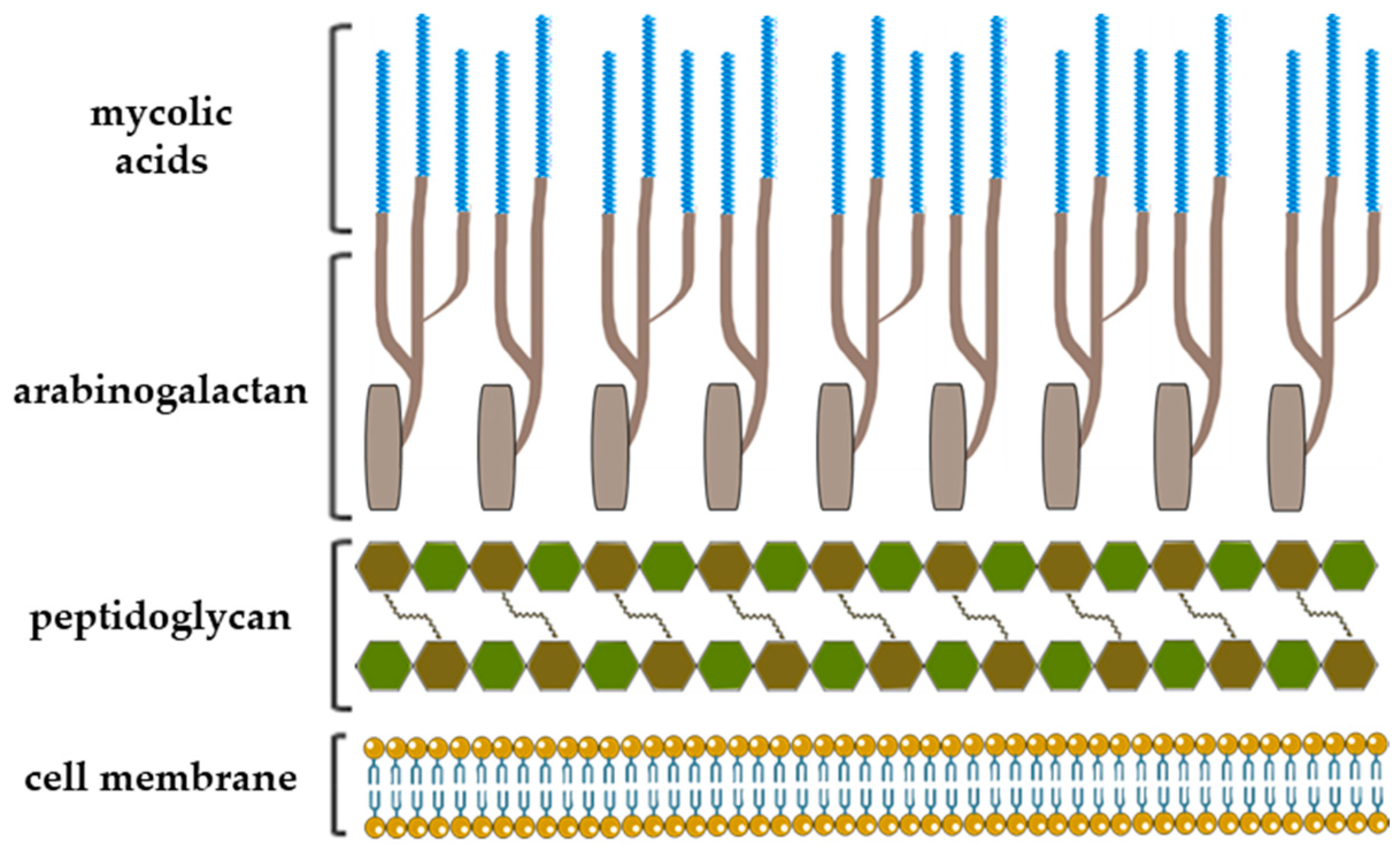 Ijms 21 03465 g002 Ijms 21 03465 g002