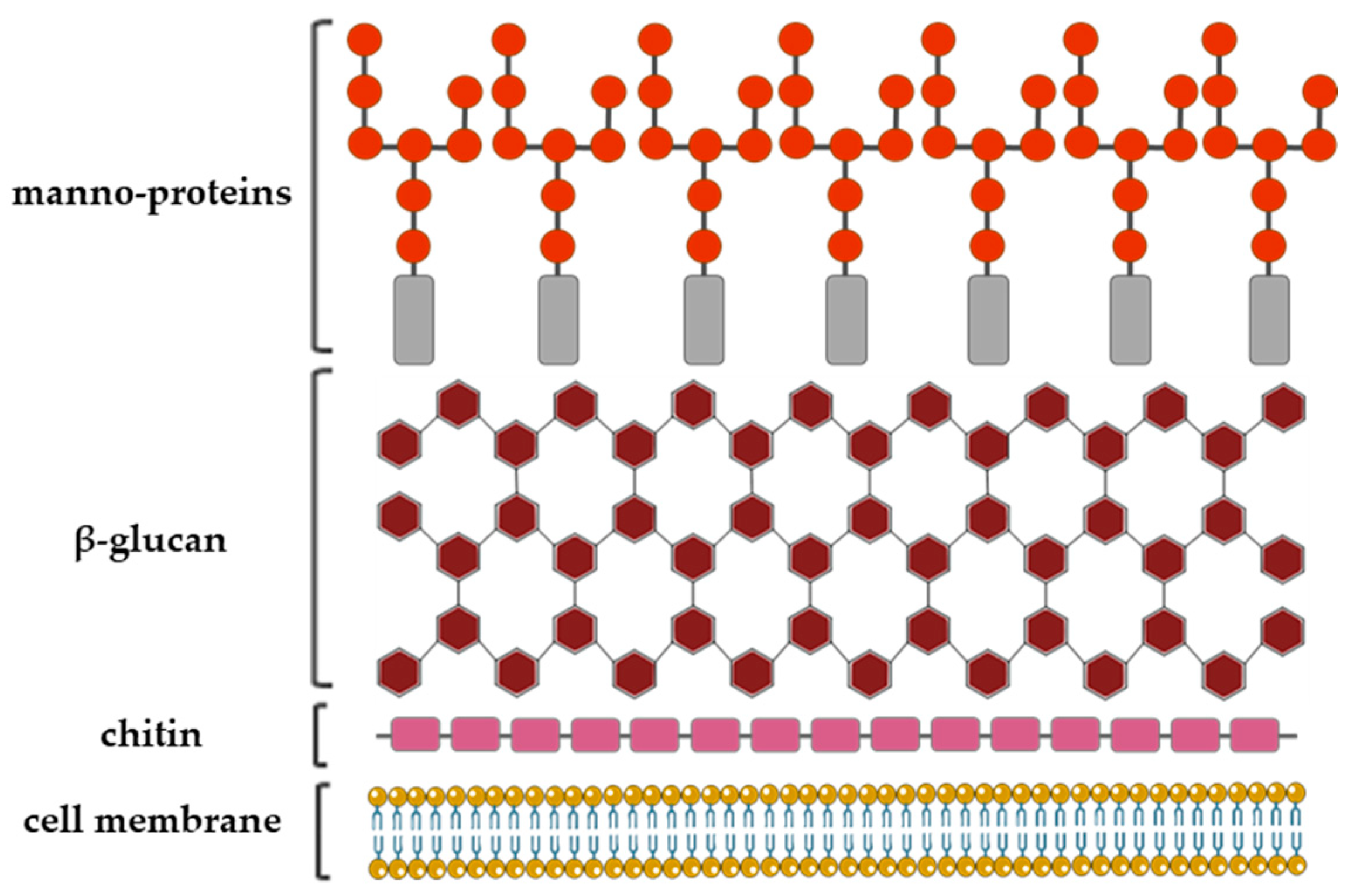 Ijms 21 03465 g003 Ijms 21 03465 g003