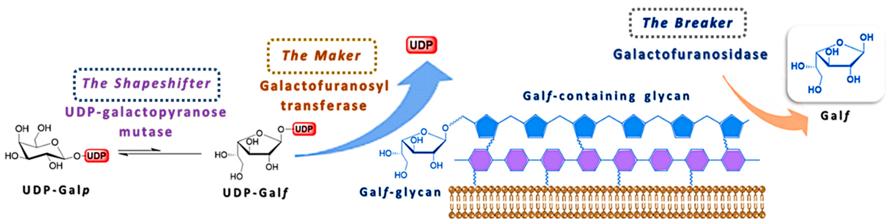 Ijms 21 03465 g005 Ijms 21 03465 g005