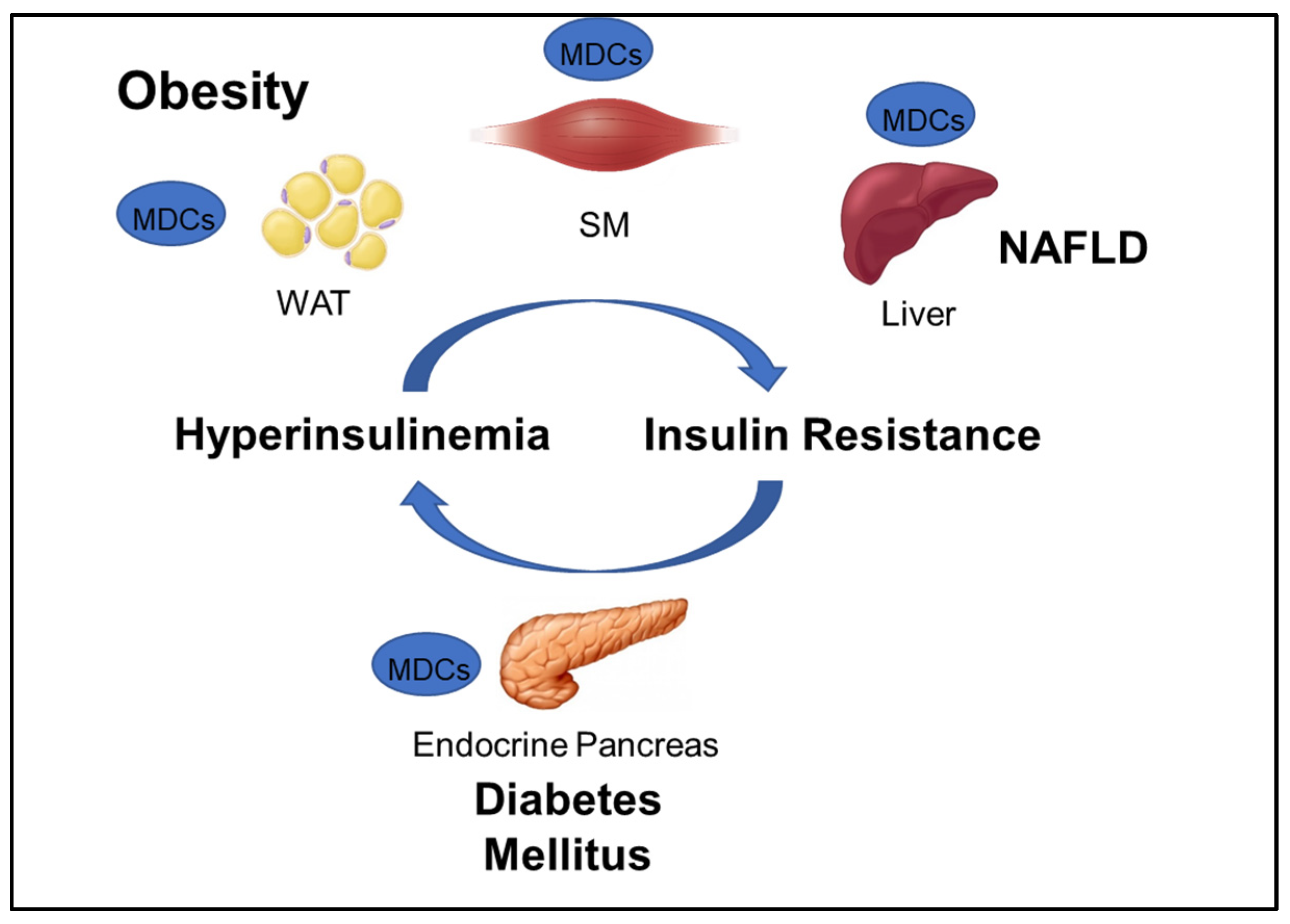 Ijms 21 03480 g001 Ijms 21 03480 g001