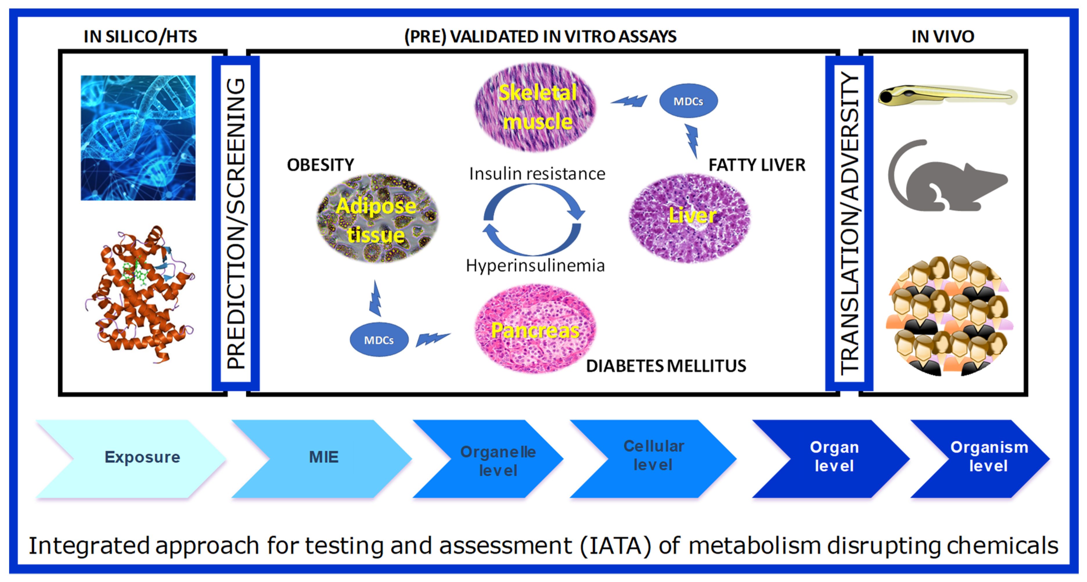 Ijms 21 03480 g002 Ijms 21 03480 g002