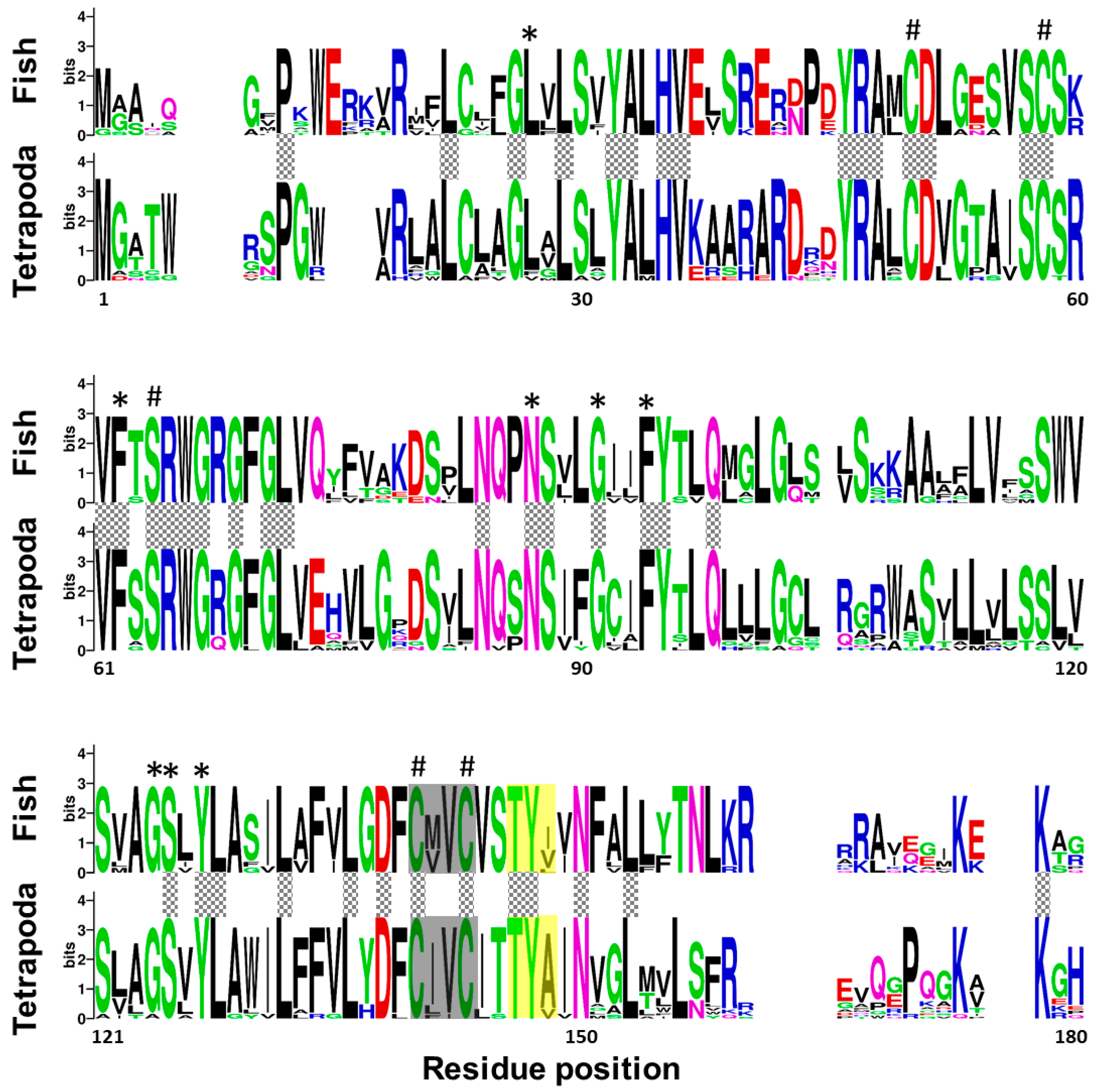 Ijms 21 03489 g002 Ijms 21 03489 g002