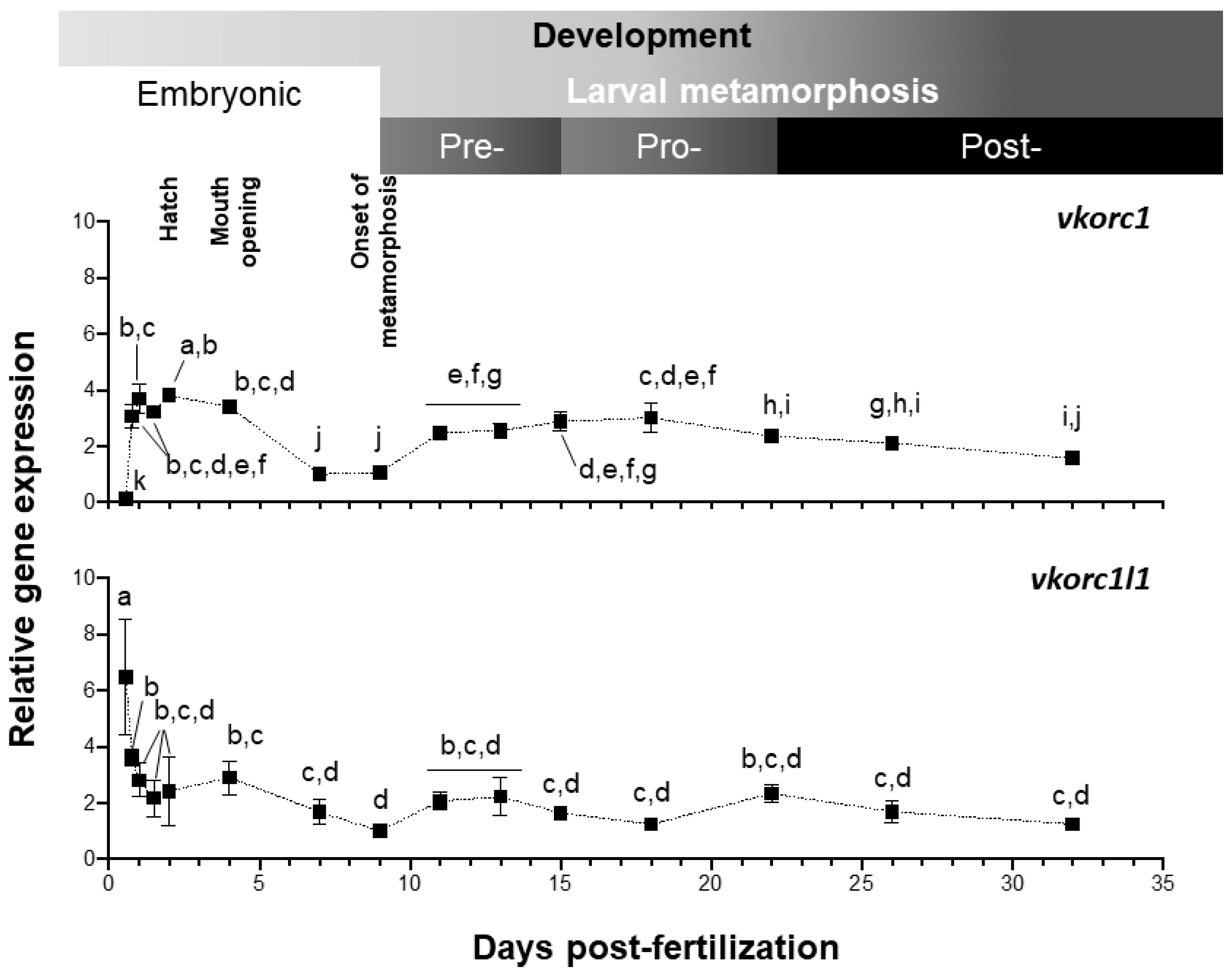Ijms 21 03489 g004 Ijms 21 03489 g004